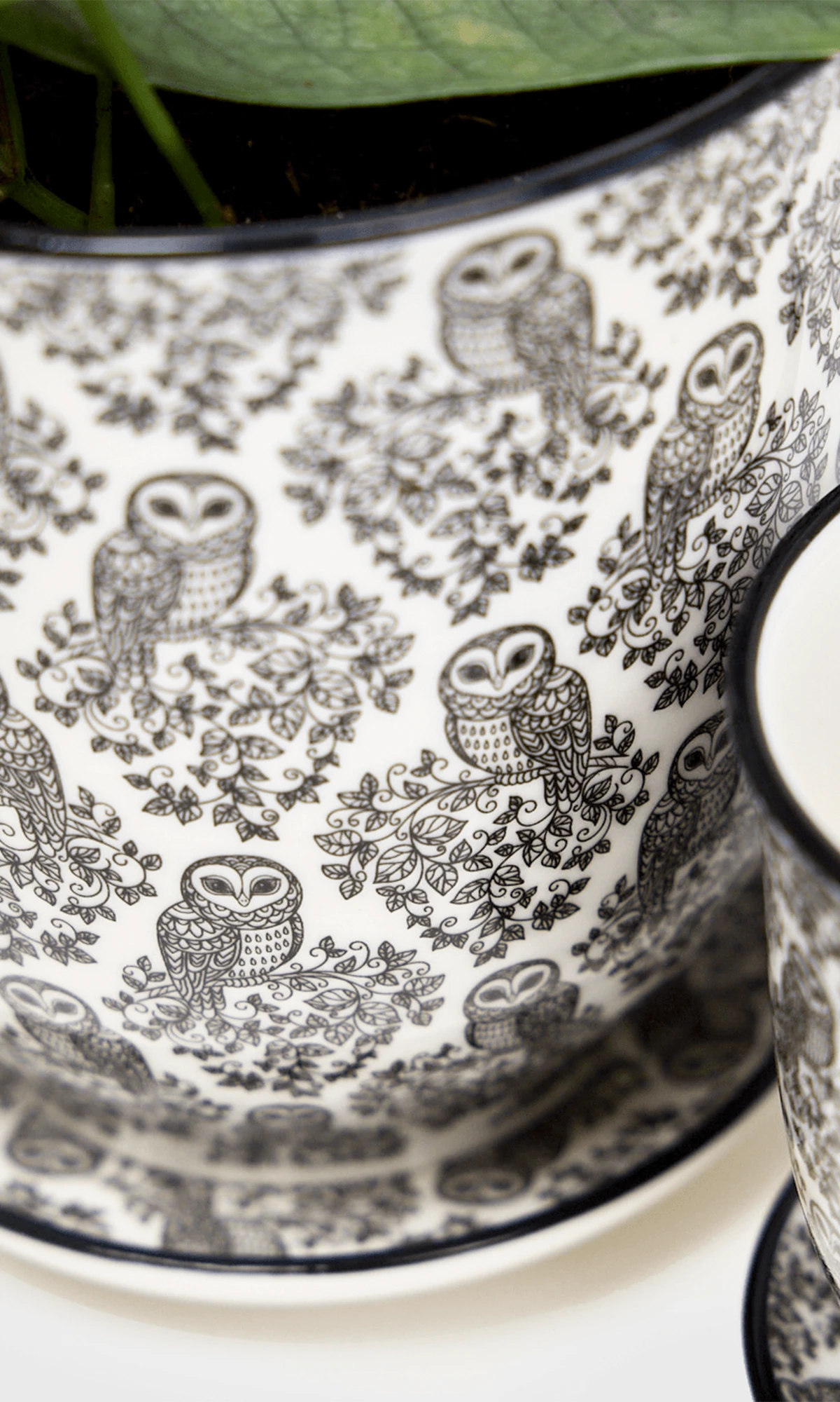 Close-up of two Chive Liberte medium black owls porcelain pots showing the pattern and glaze finish.