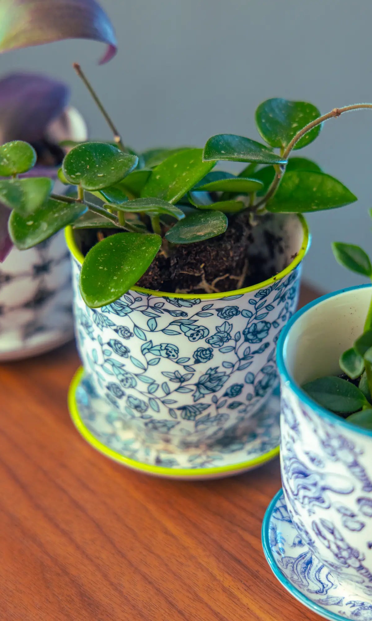Chive Liberté small planters in green flowers, octopus, and black stars prints, each styled with a different houseplant.