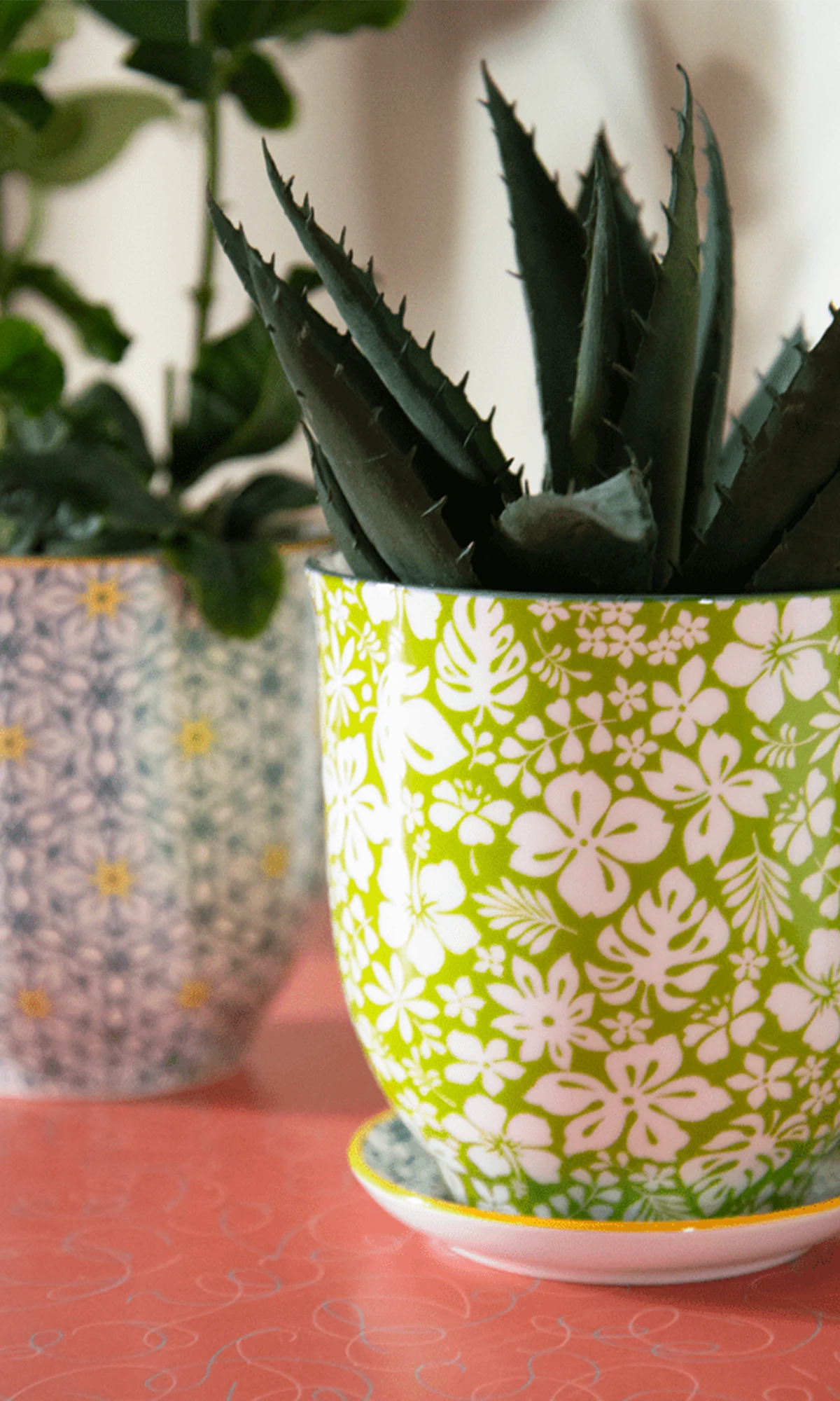 Two Chive Liberte small porcelain pots styled with plants on a red table indoor.