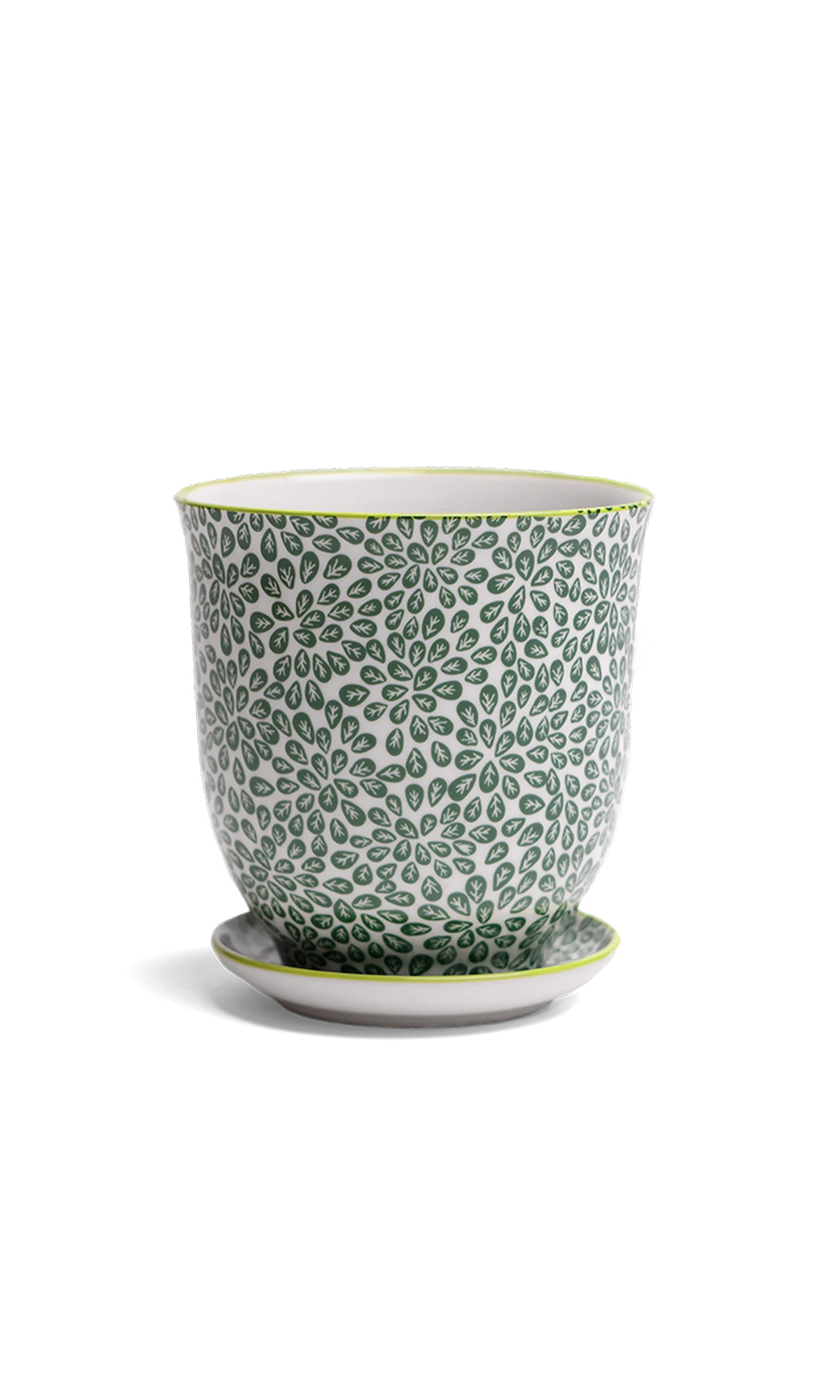 Chive Liberte medium green leaves 3 porcelain pot with drainage hole and detachable saucer.