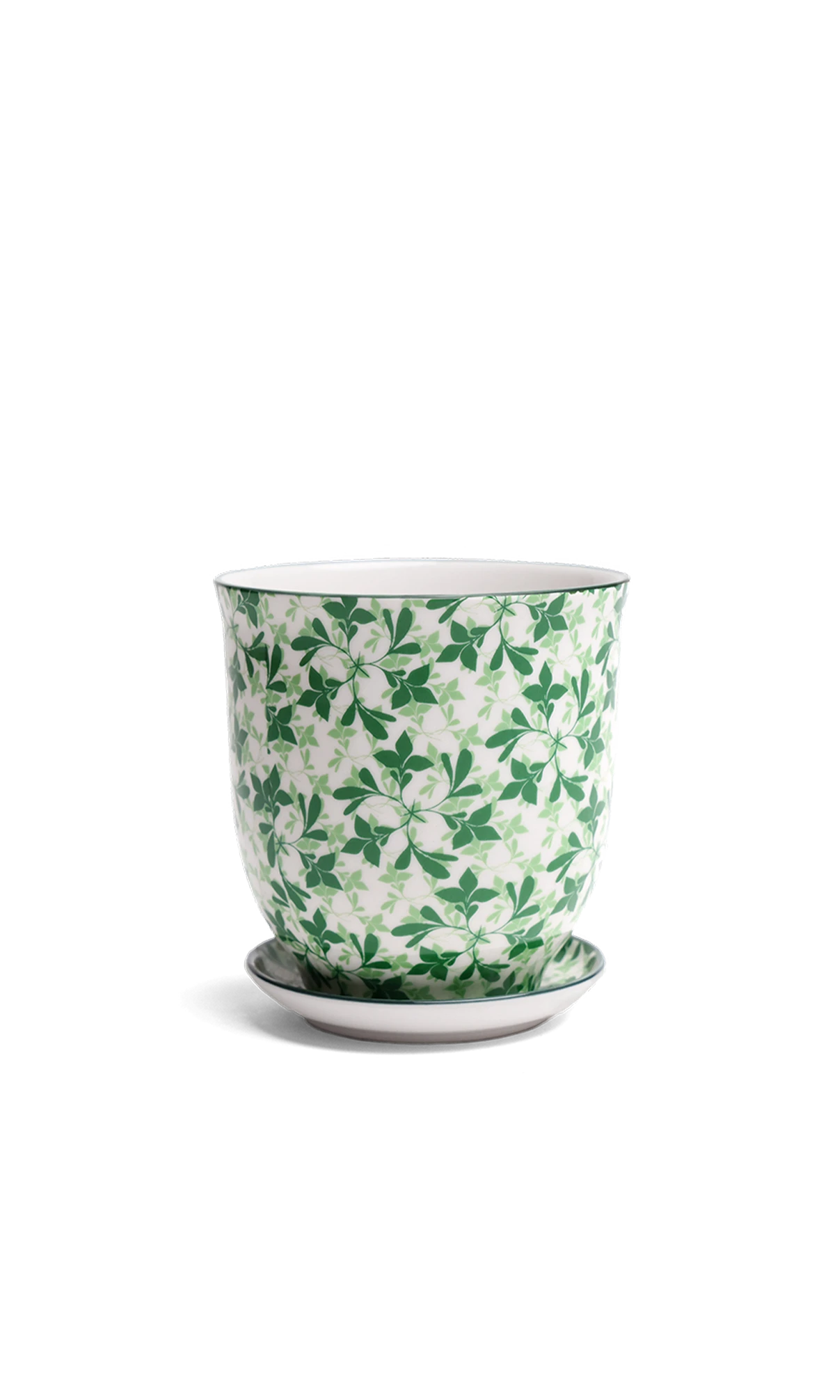 Chive Liberte small green leaves 4 porcelain pot with drainage hole and detachable saucer.