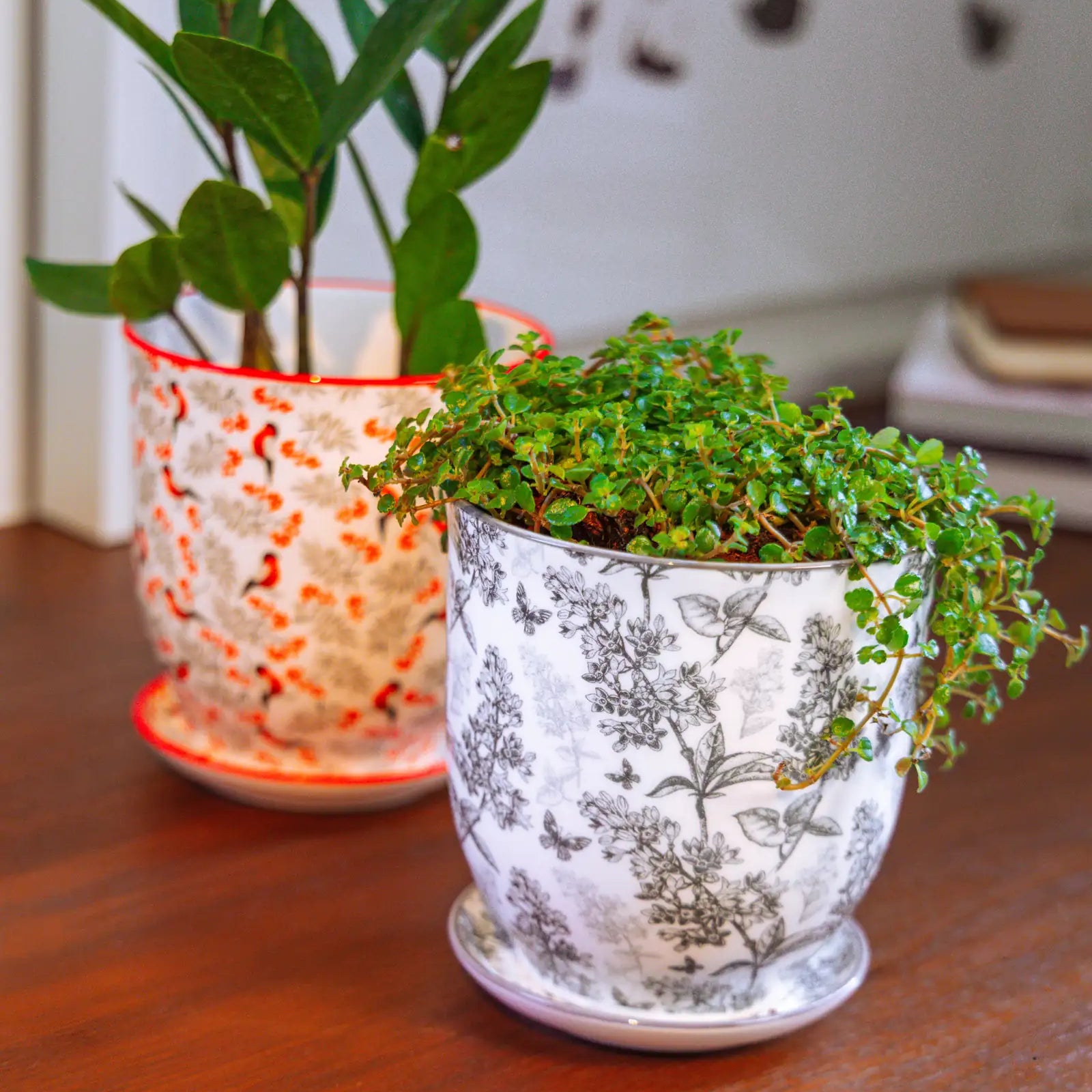 Chive Liberté small planters in grey forest and red birds prints, styled with baby tears and a ZZ plant on a wood surface.