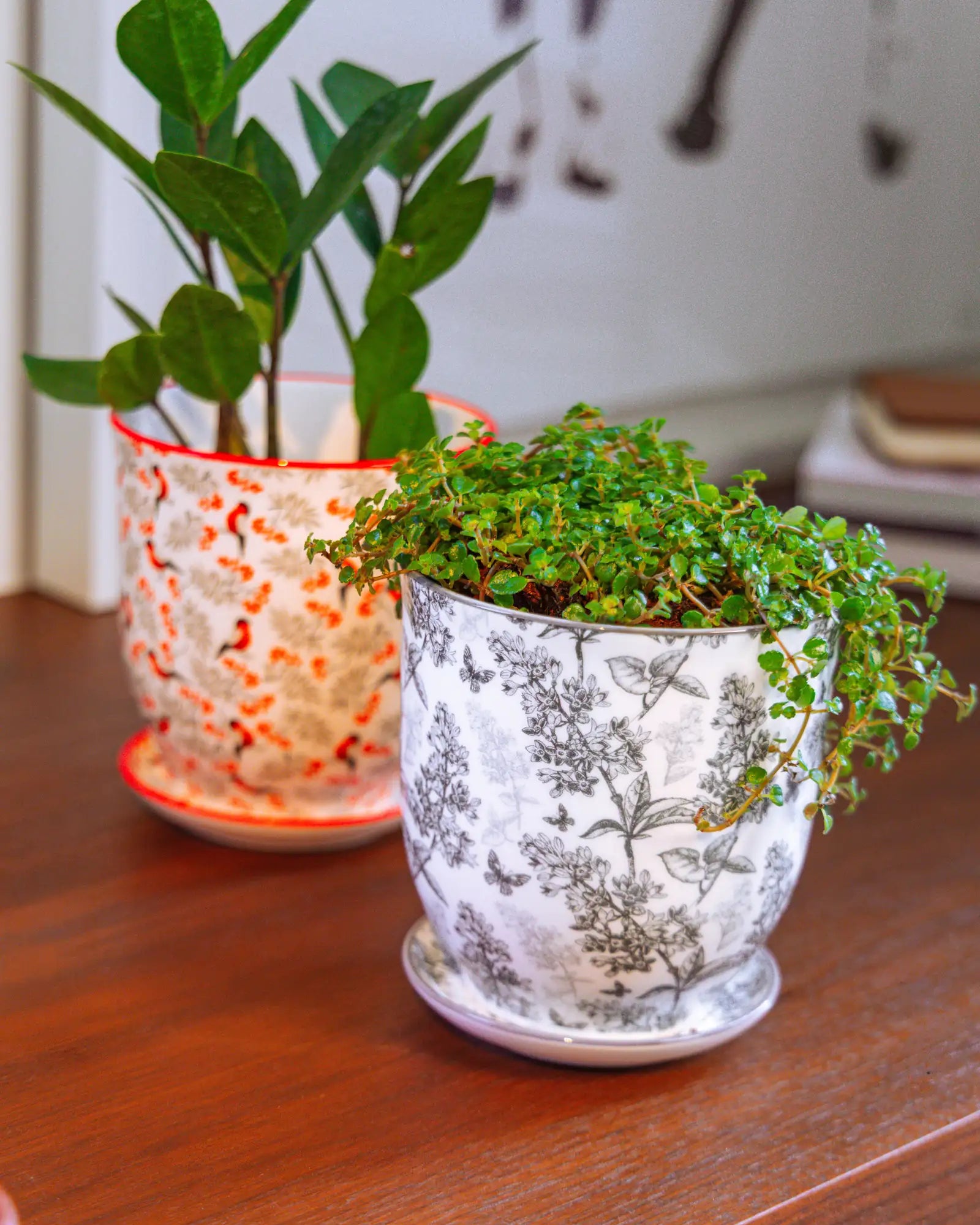 Chive Liberté small planters in grey forest and red birds prints, styled with baby tears and a ZZ plant on a wood surface.