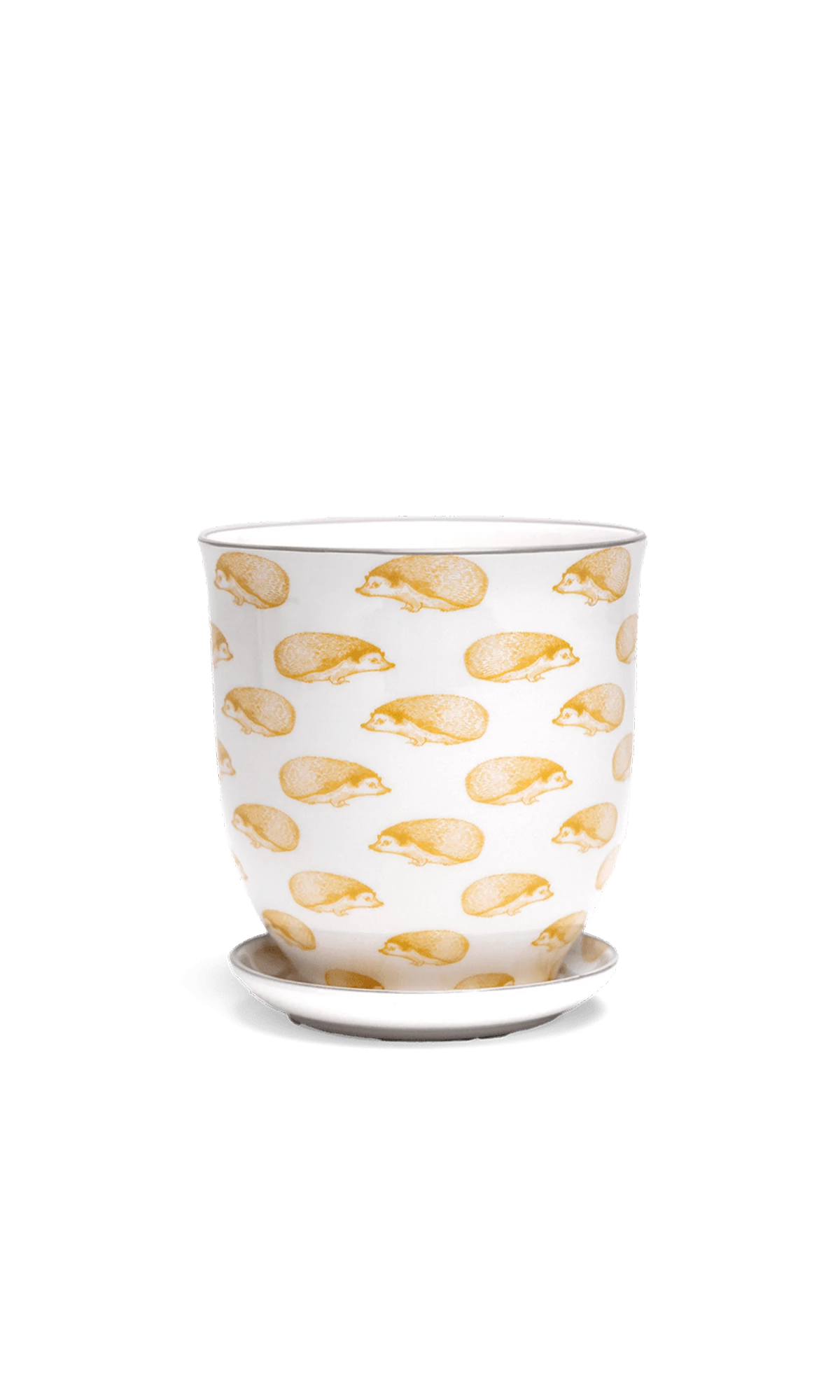 Chive Liberte medium hedgehog porcelain pot with drainage hole and detachable saucer.