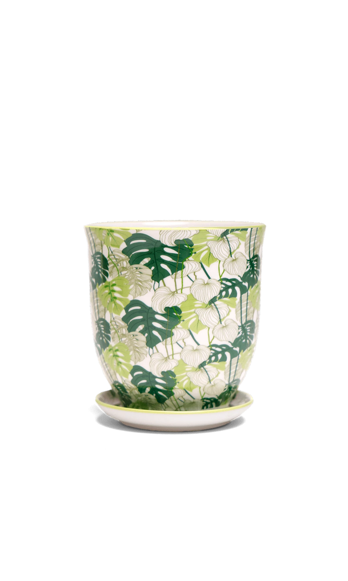 Chive Liberte medium monstera porcelain pot with drainage hole and detachable saucer.