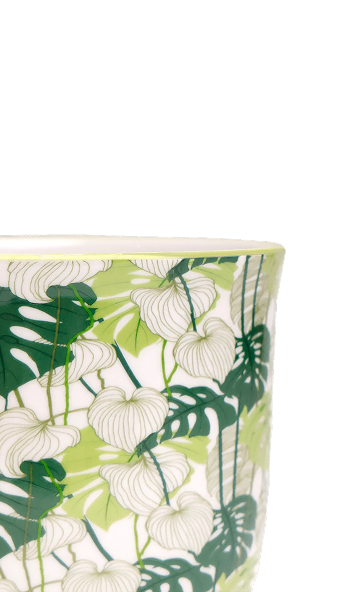 Close-up of the Chive Liberte medium monstera porcelain pot showing the pattern and glaze finish.