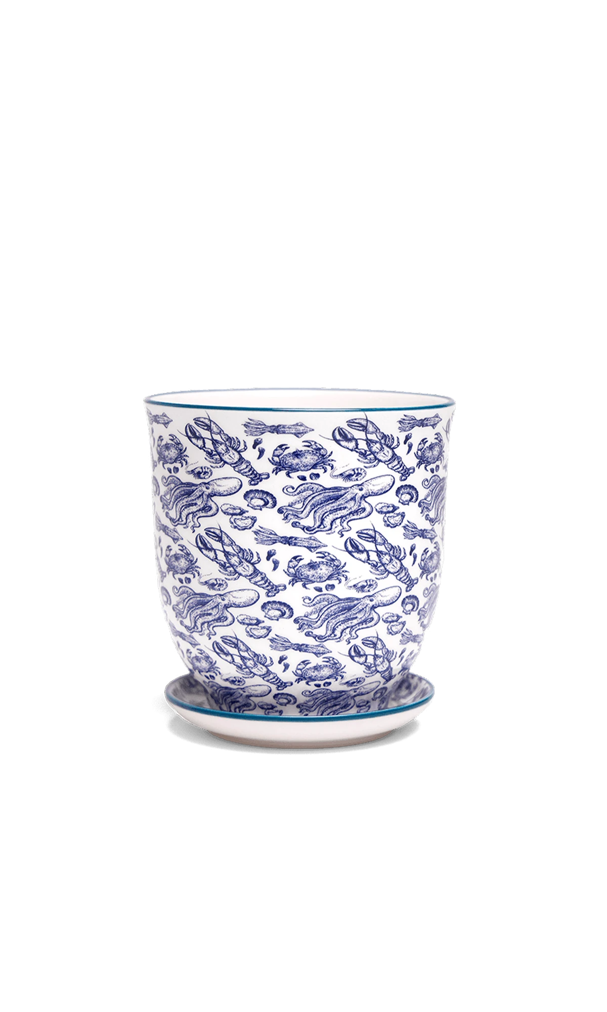 Chive Liberte medium octopus porcelain pot with drainage hole and detachable saucer.