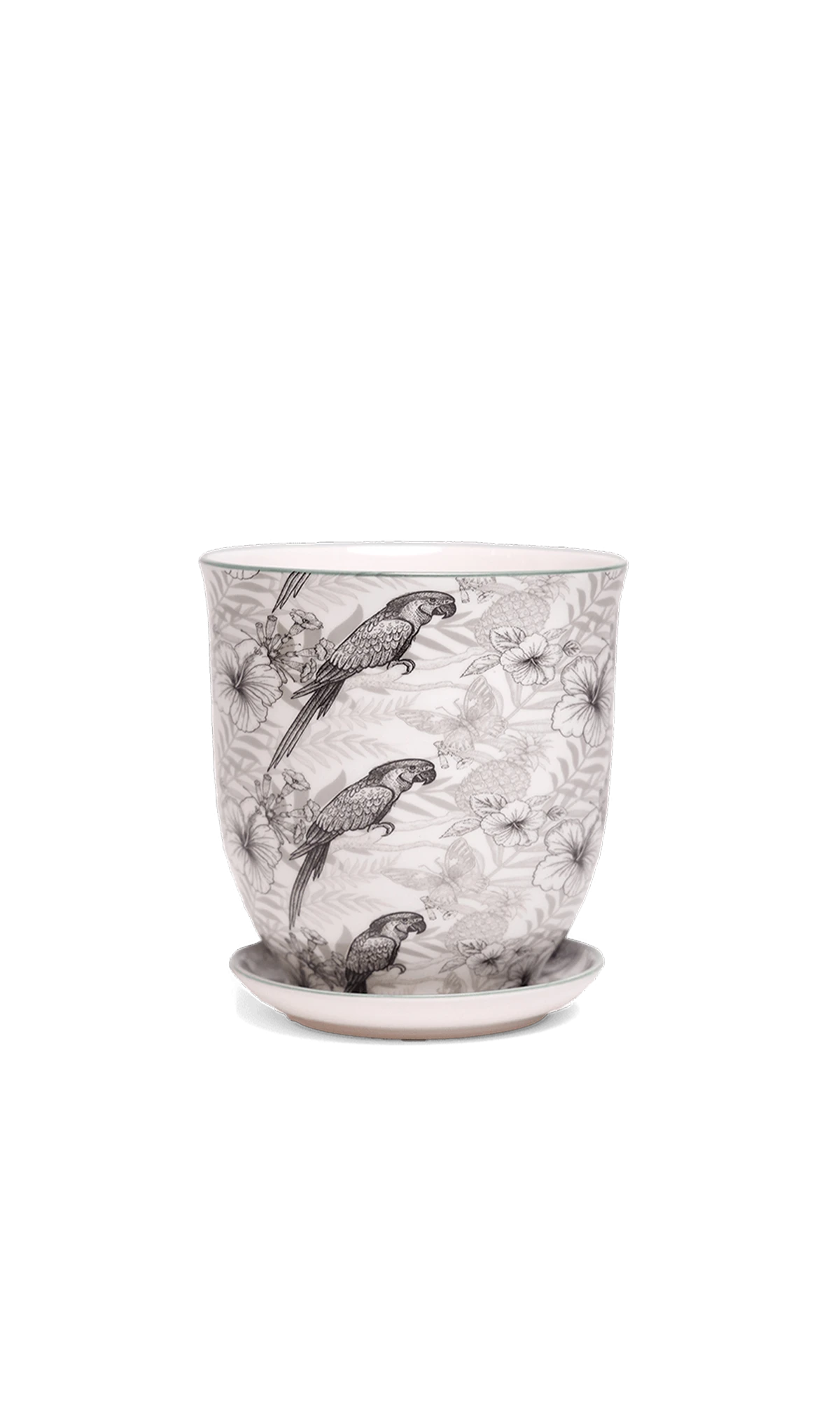 Chive Liberte small parrot porcelain pot with drainage hole and detachable saucer.
