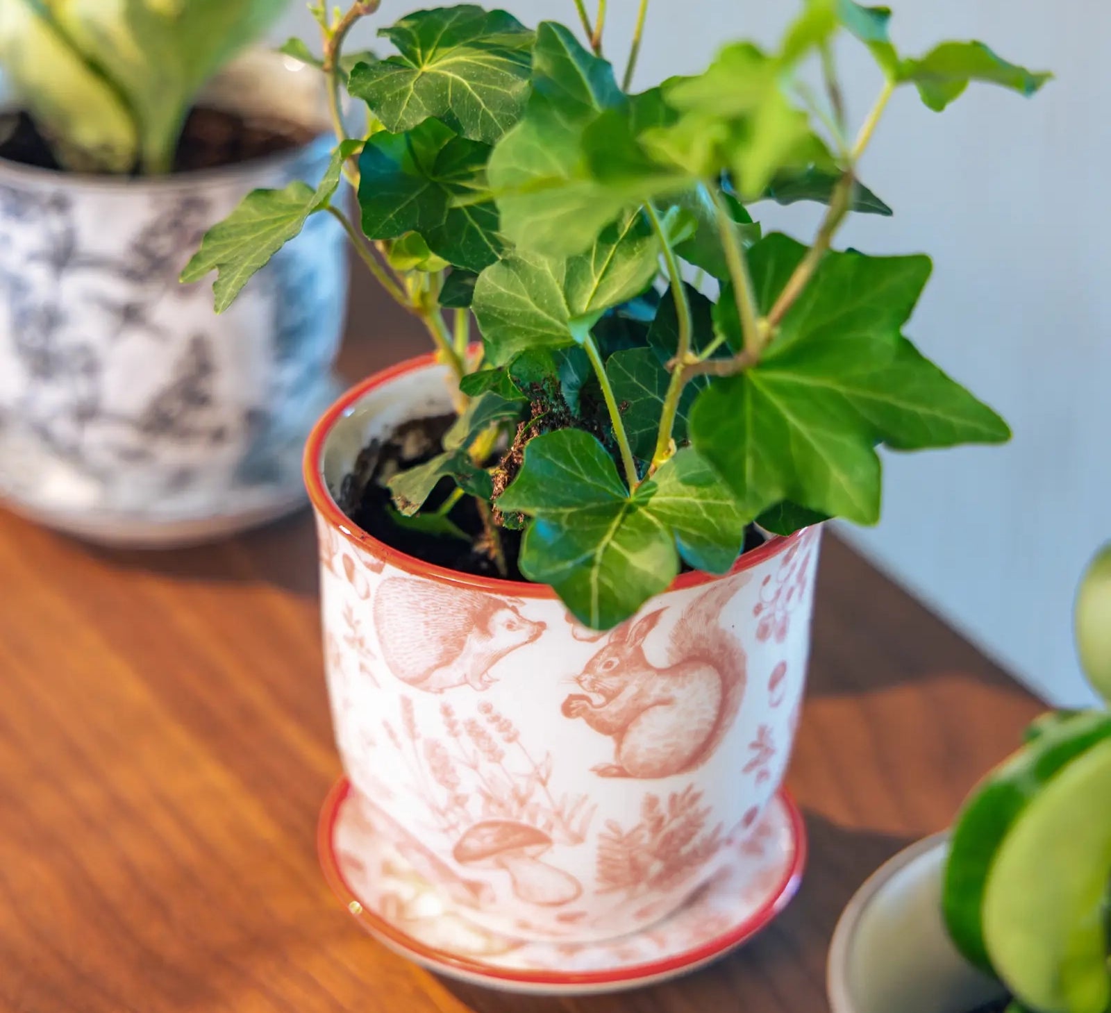 Chive Liberté small planter in red squirrels print with a red rim and saucer, styled with an ivy on a wood surface.