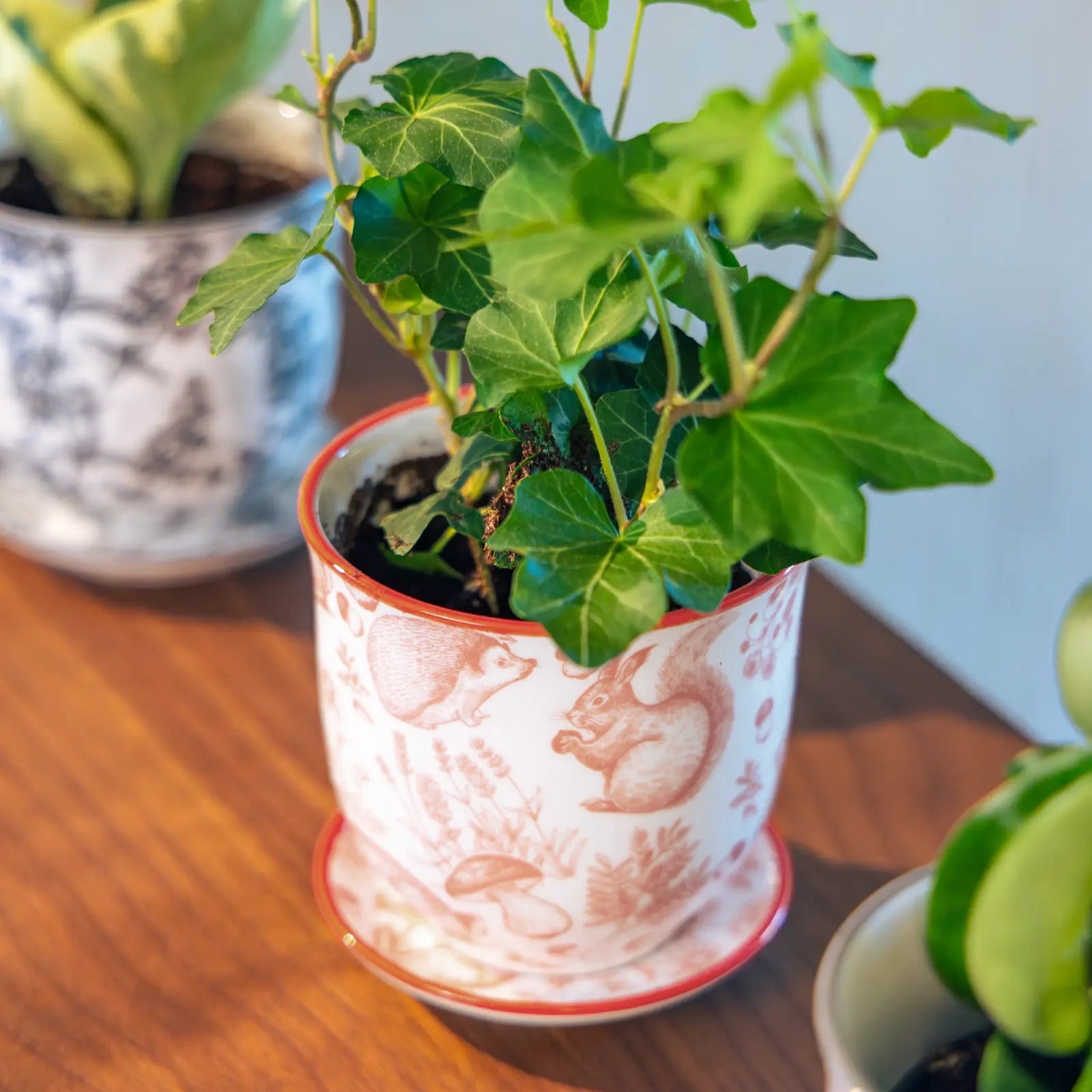 Chive Liberté small planter in red squirrels print with a red rim and saucer, styled with an ivy on a wood surface.