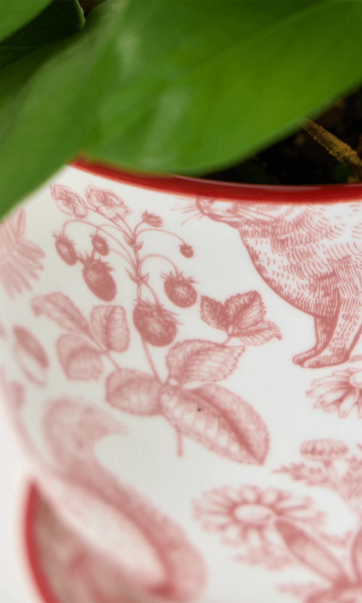 Close-up of the Chive Liberte medium red squirrels porcelain pot showing the pattern and glaze finish, holding a plant.