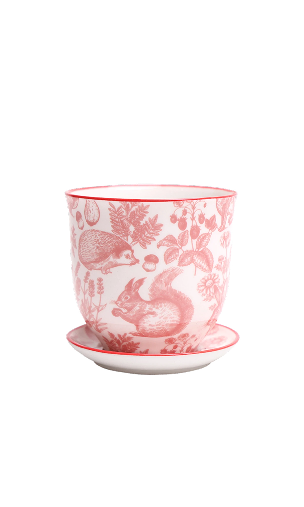 Chive Liberte small red squirrels porcelain pot with drainage hole and detachable saucer.