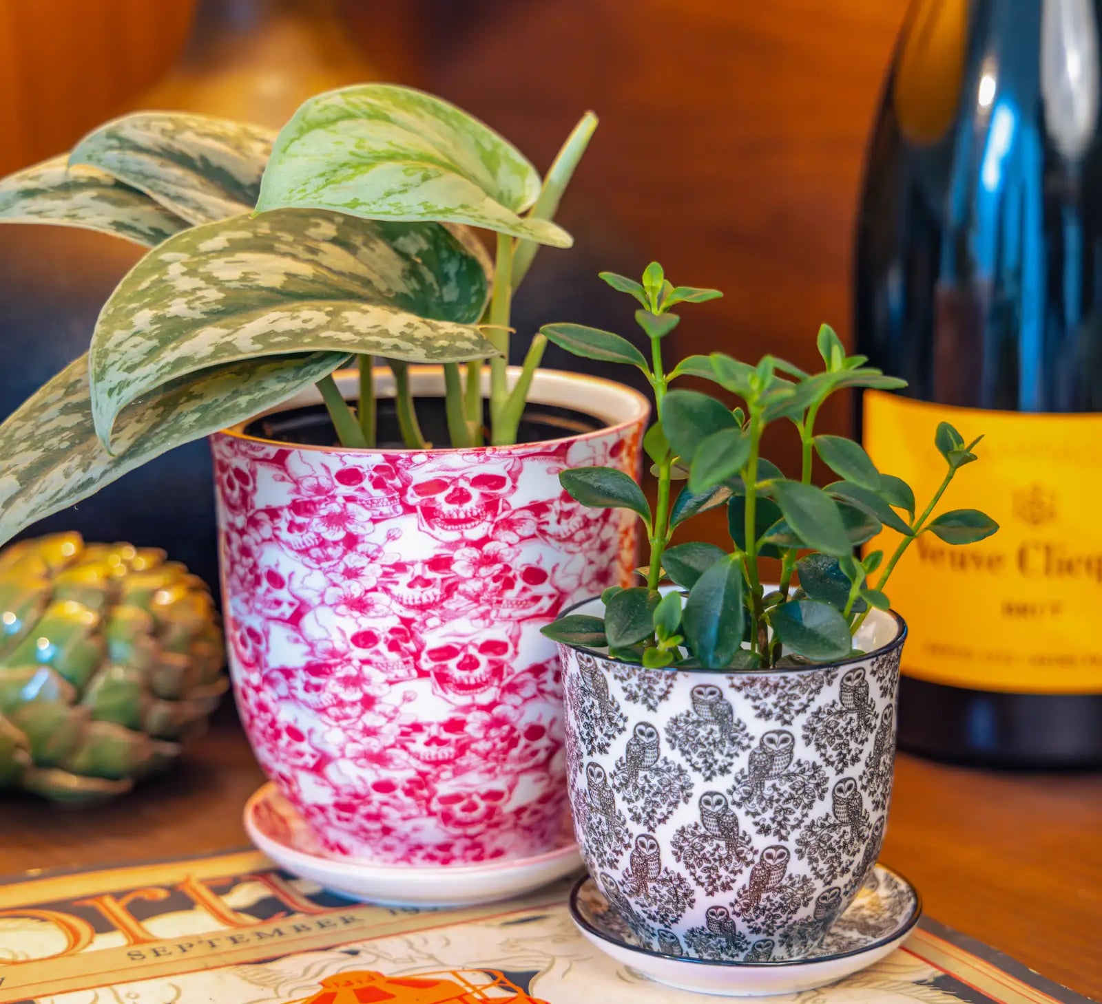 Chive Liberté planters in skull and black owls prints, styled with a silver satin pothos and peperomia on a kitchen table.