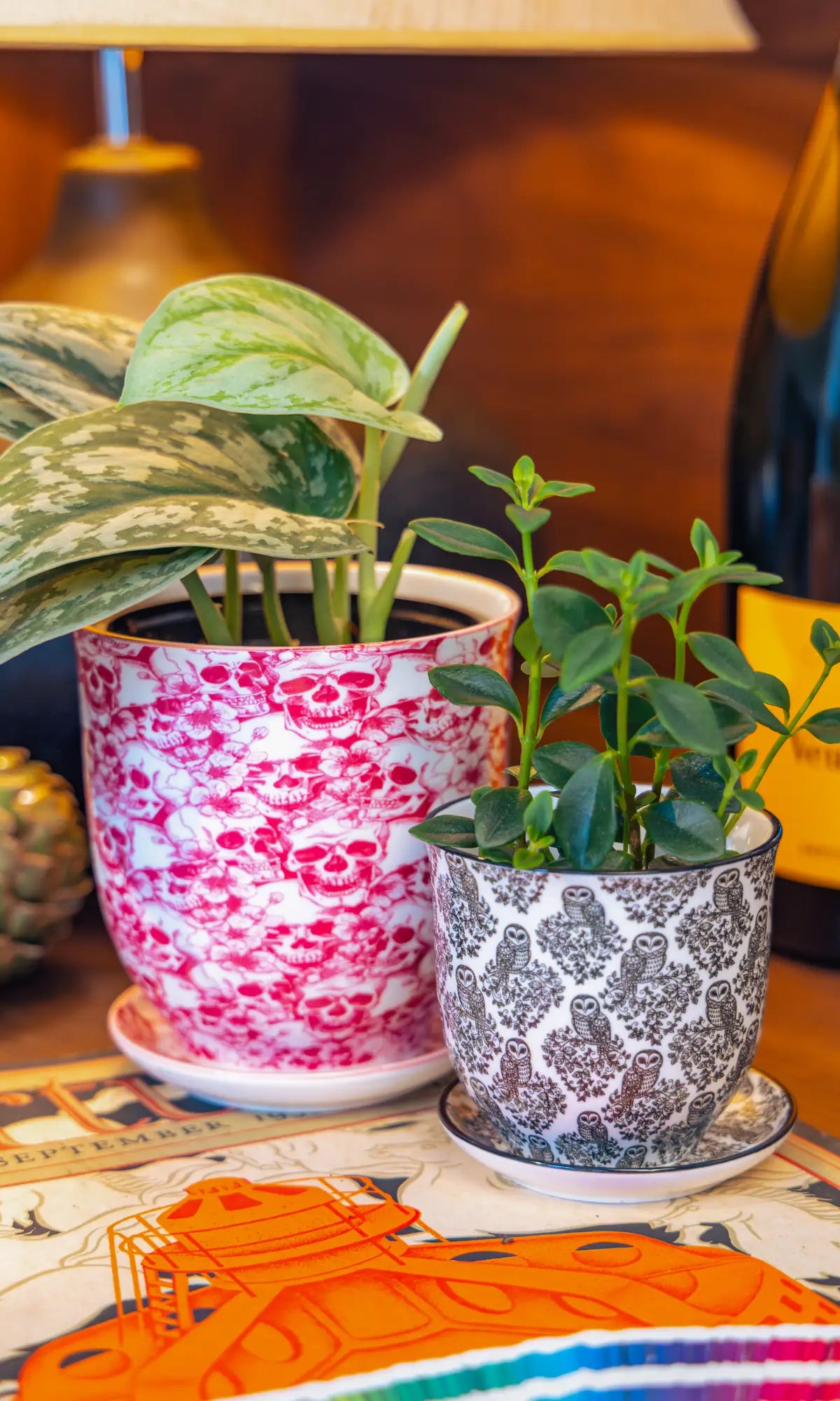 Chive Liberté planters in skull and black owls prints, styled with a silver satin pothos and peperomia on a kitchen table.
