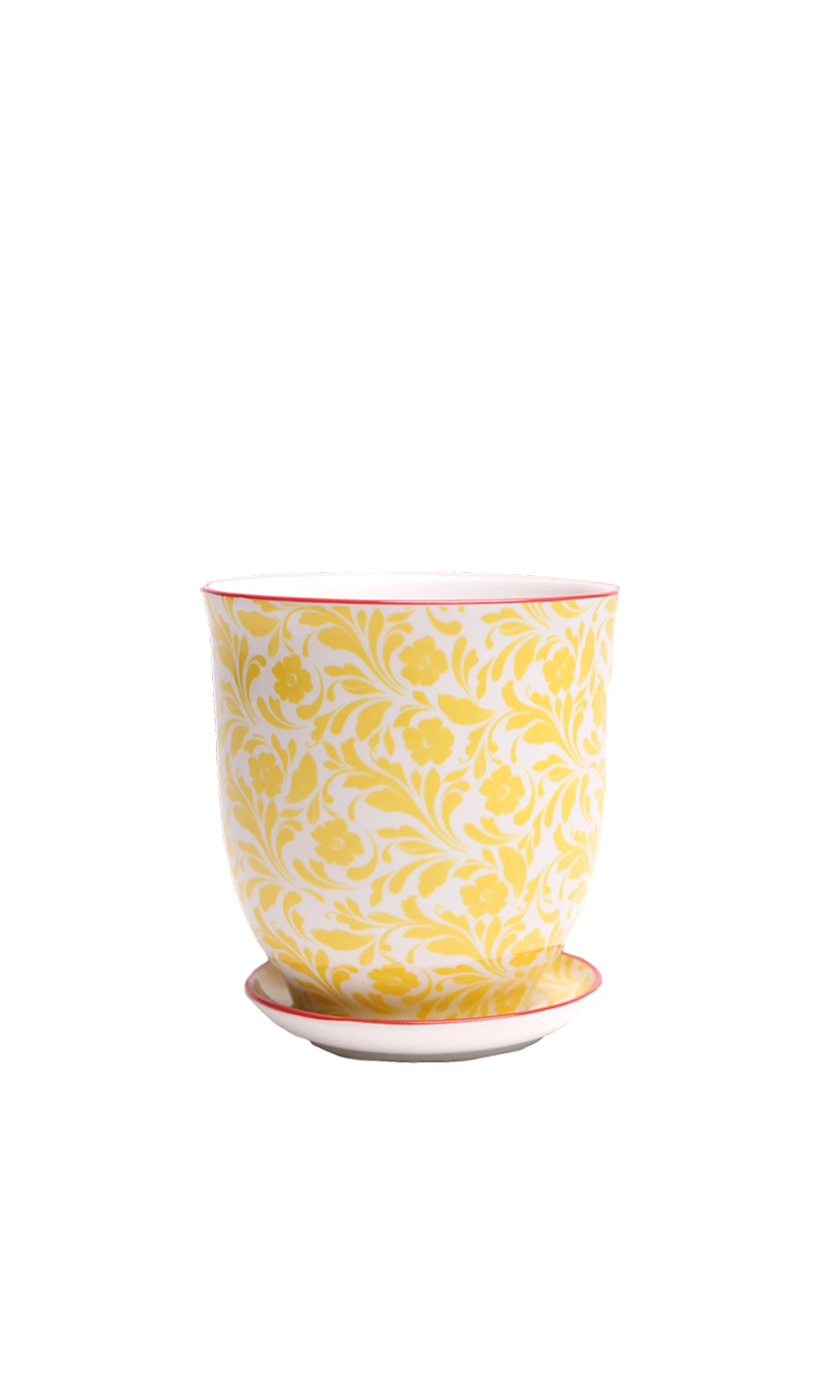 Chive Liberte small yellow flowers porcelain pot with drainage hole and detachable saucer.