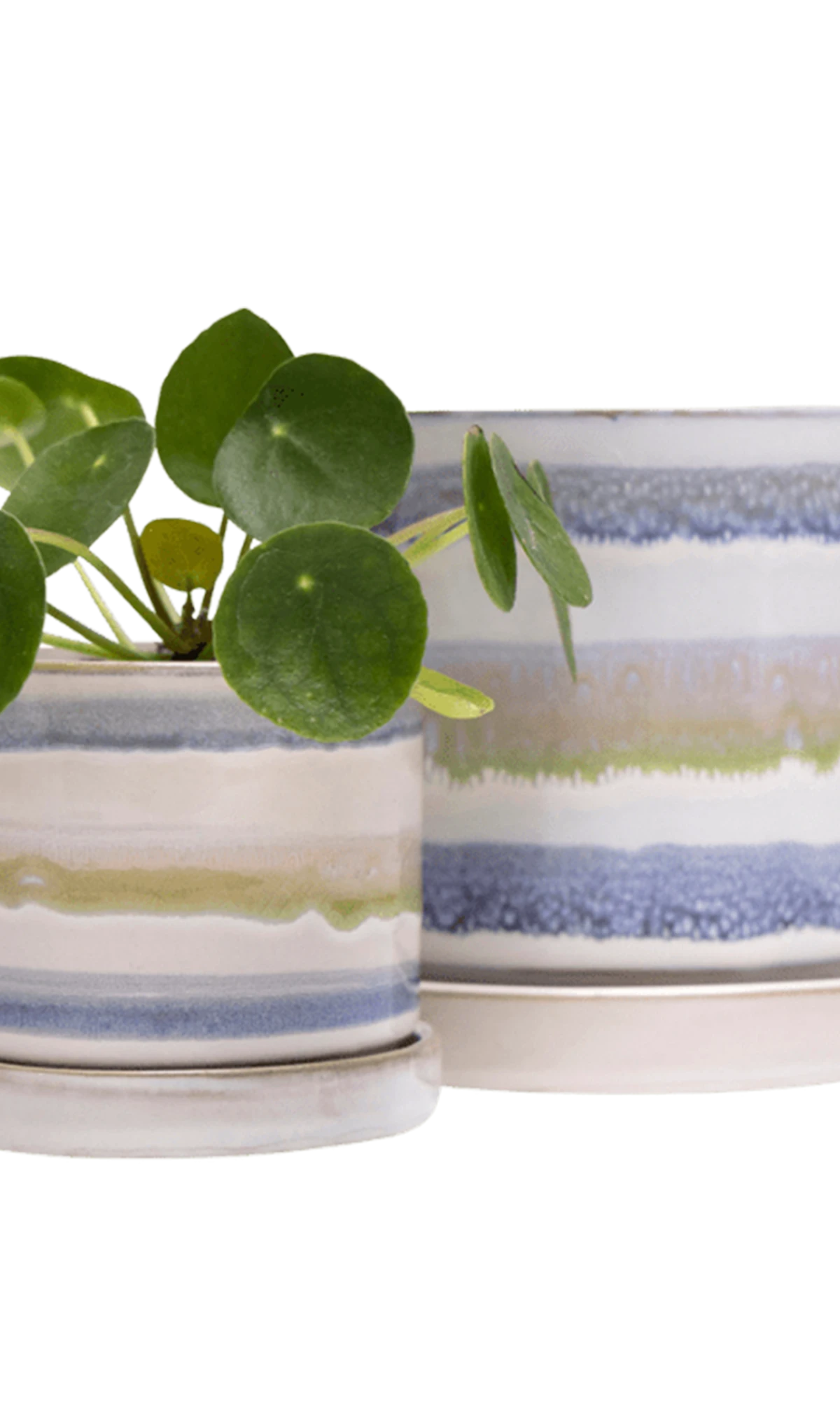 Two Chive Minute blue green layers ceramic pots with drainage and saucers in size small and medium styled with a pilea peperomioides.