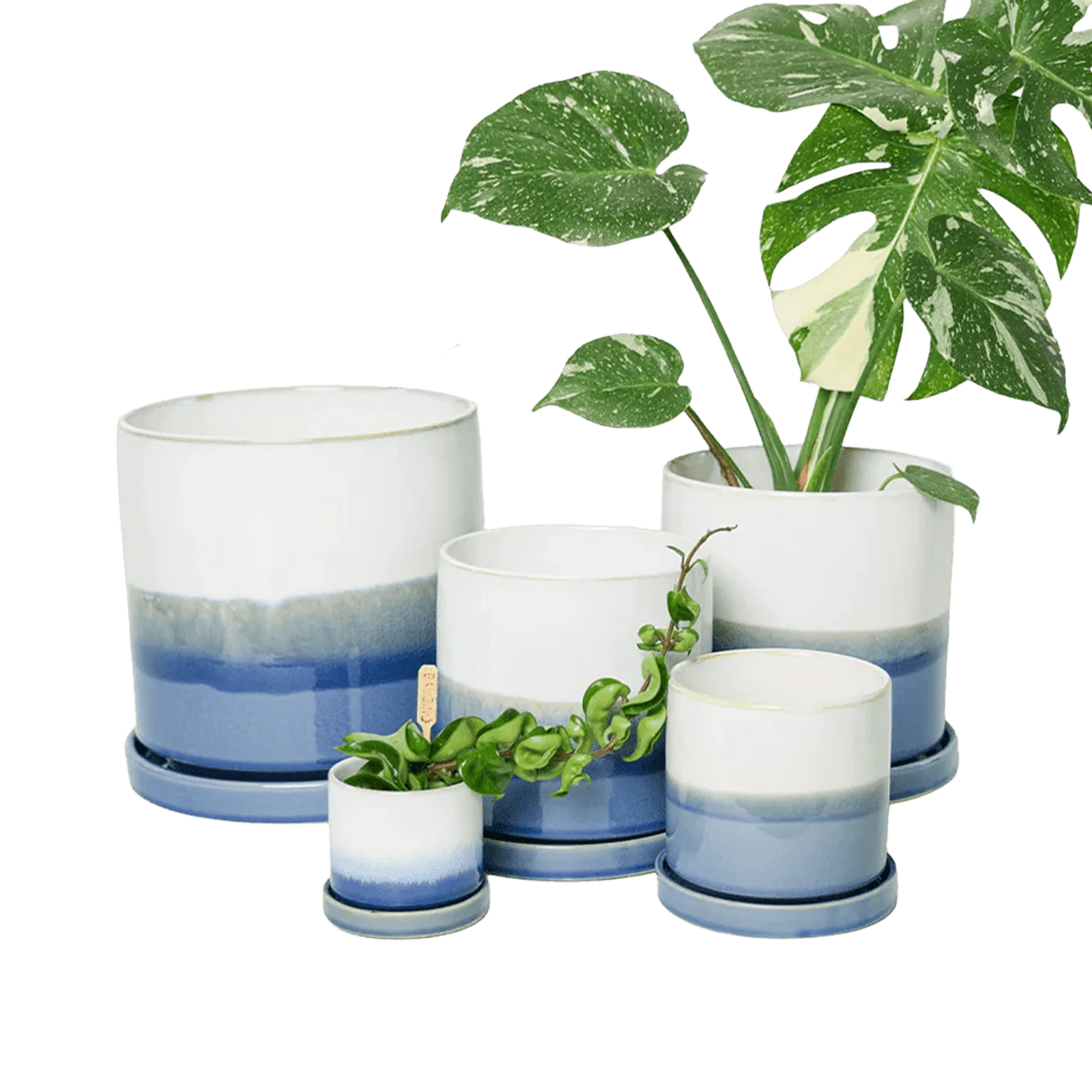 Chive Minute fully glazed large ceramic planter pots in color blue layers in multiple sizes styled with plants.