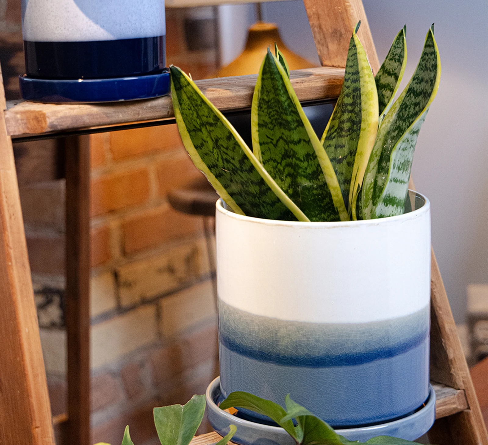 Chive Minute fully glazed large ceramic planter pot in color blue layers styled with a snake plant on a wood ladder indoor.