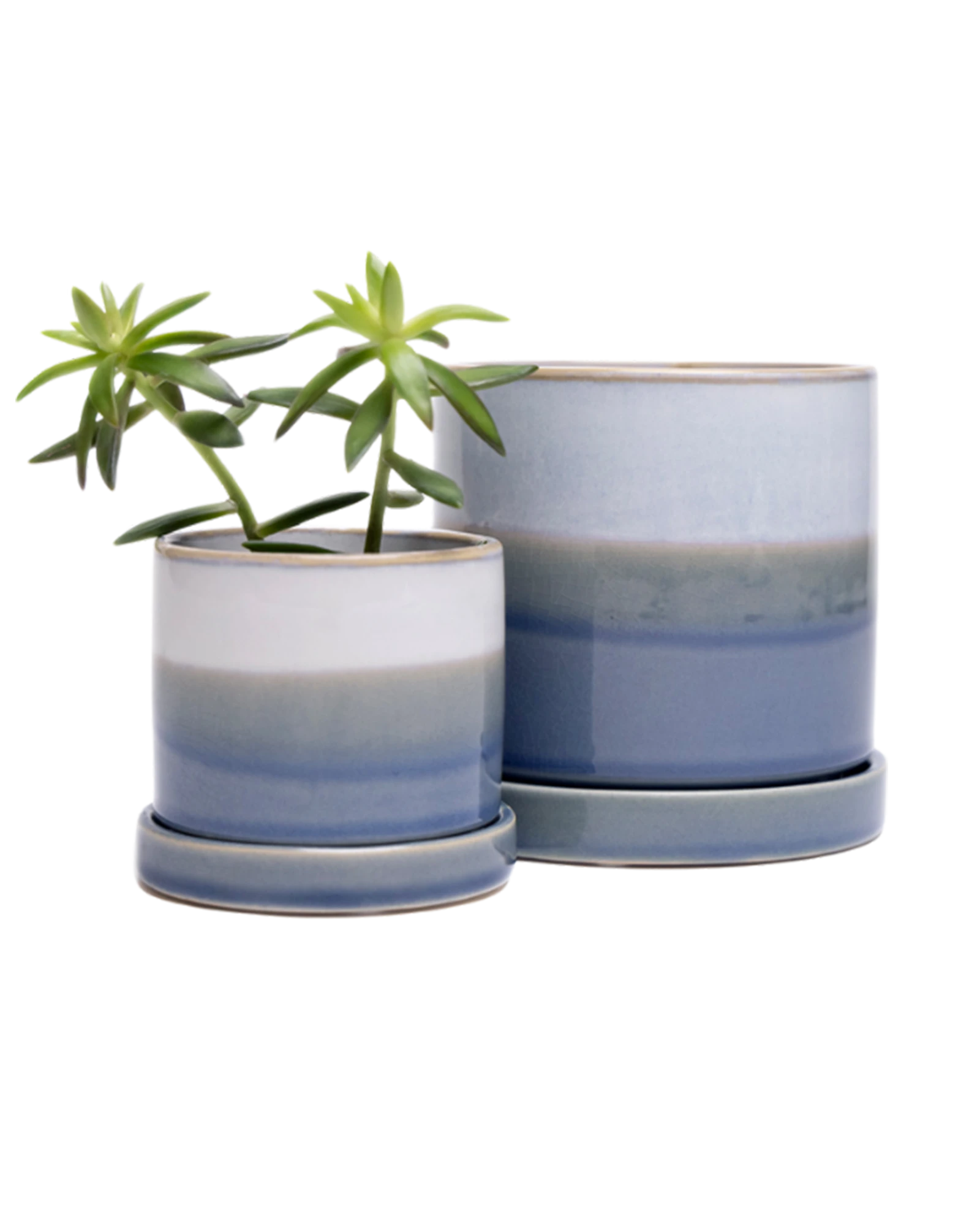 Two Chive Minute blue layers ceramic pots with drainage and detachable saucers in size small and medium styled with a plant.