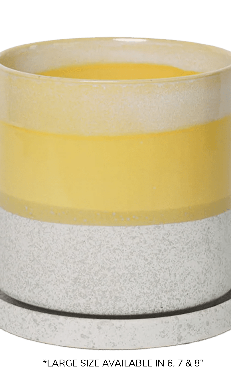 Chive Minute large boombastic ceramic pot with drainage hole and detachable saucer.