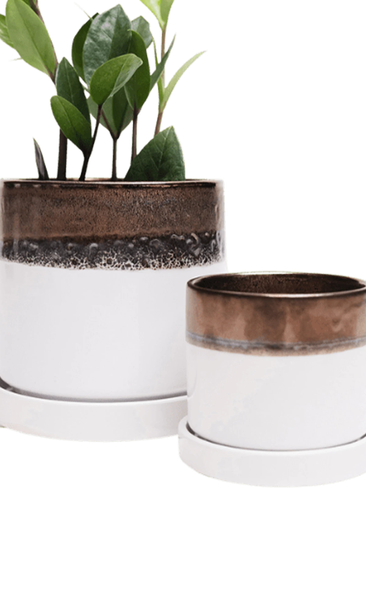 Two Chive Minute bronze white ceramic pots with drainage and detachable saucers in size small and medium styled with a plant.