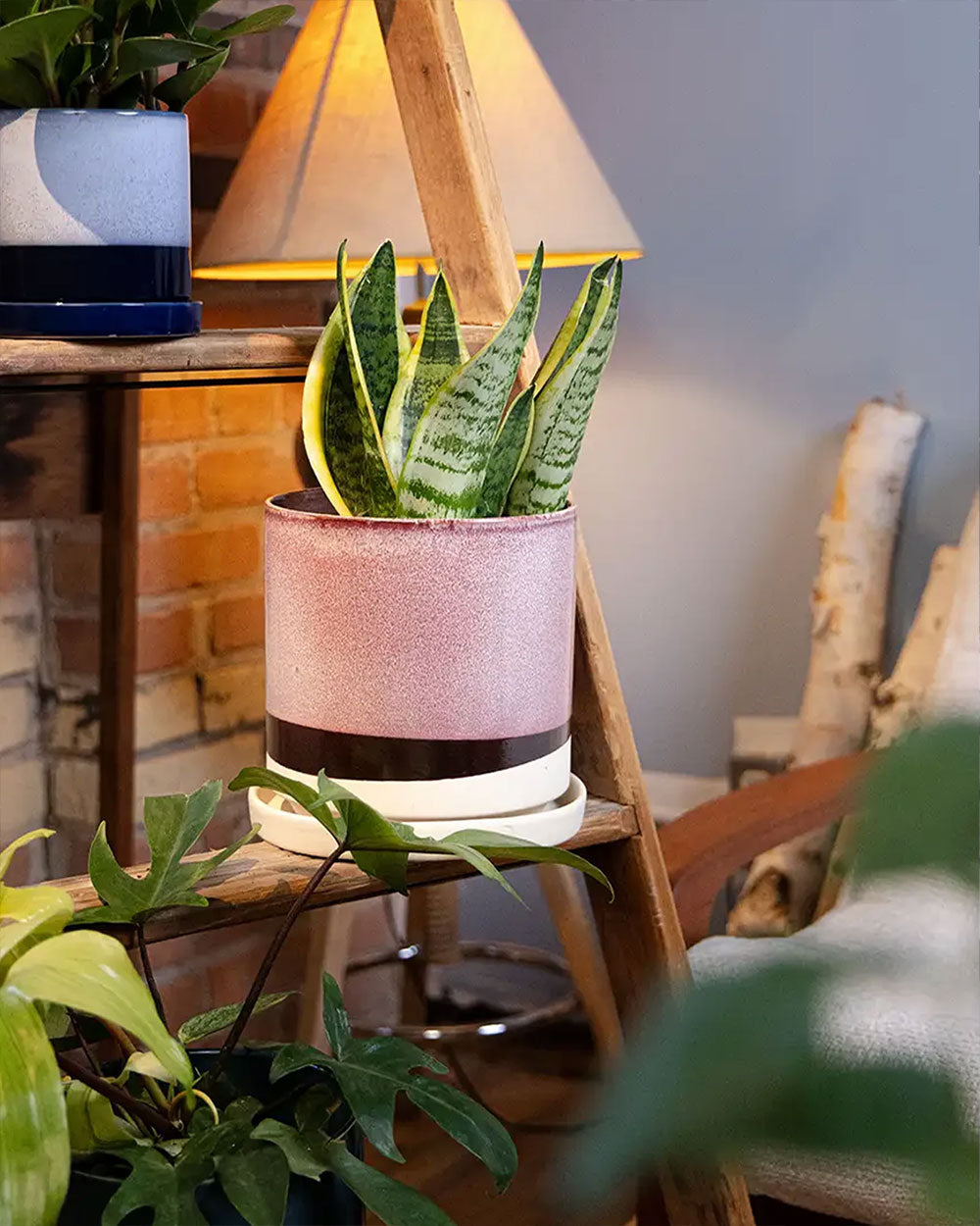 Chive Minute Large burgundy ceramic planter styled with a snake plant on a wooden ladder indoor.