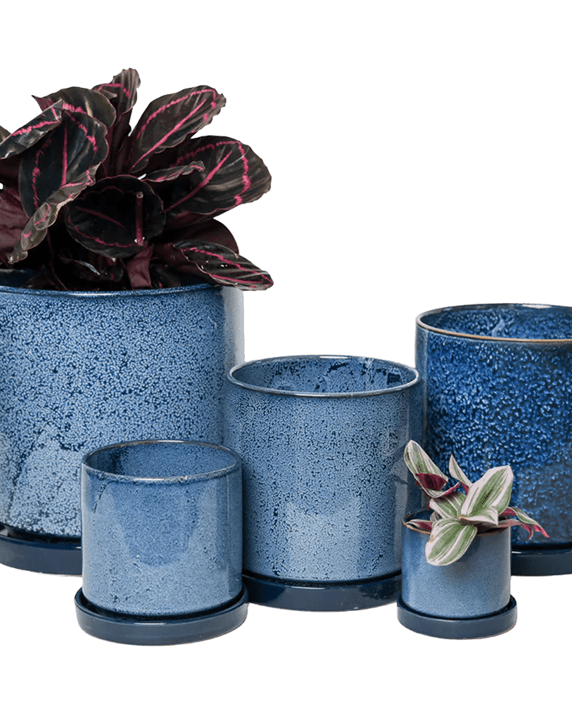Chive Minute cosmos glazed ceramic planters in mini, small, medium, and large sizes, styled with a plant.
