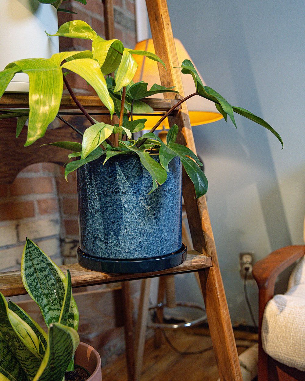 Chive Minute large cosmos ceramic pot styled with a plant on a woodden ladder indoor.