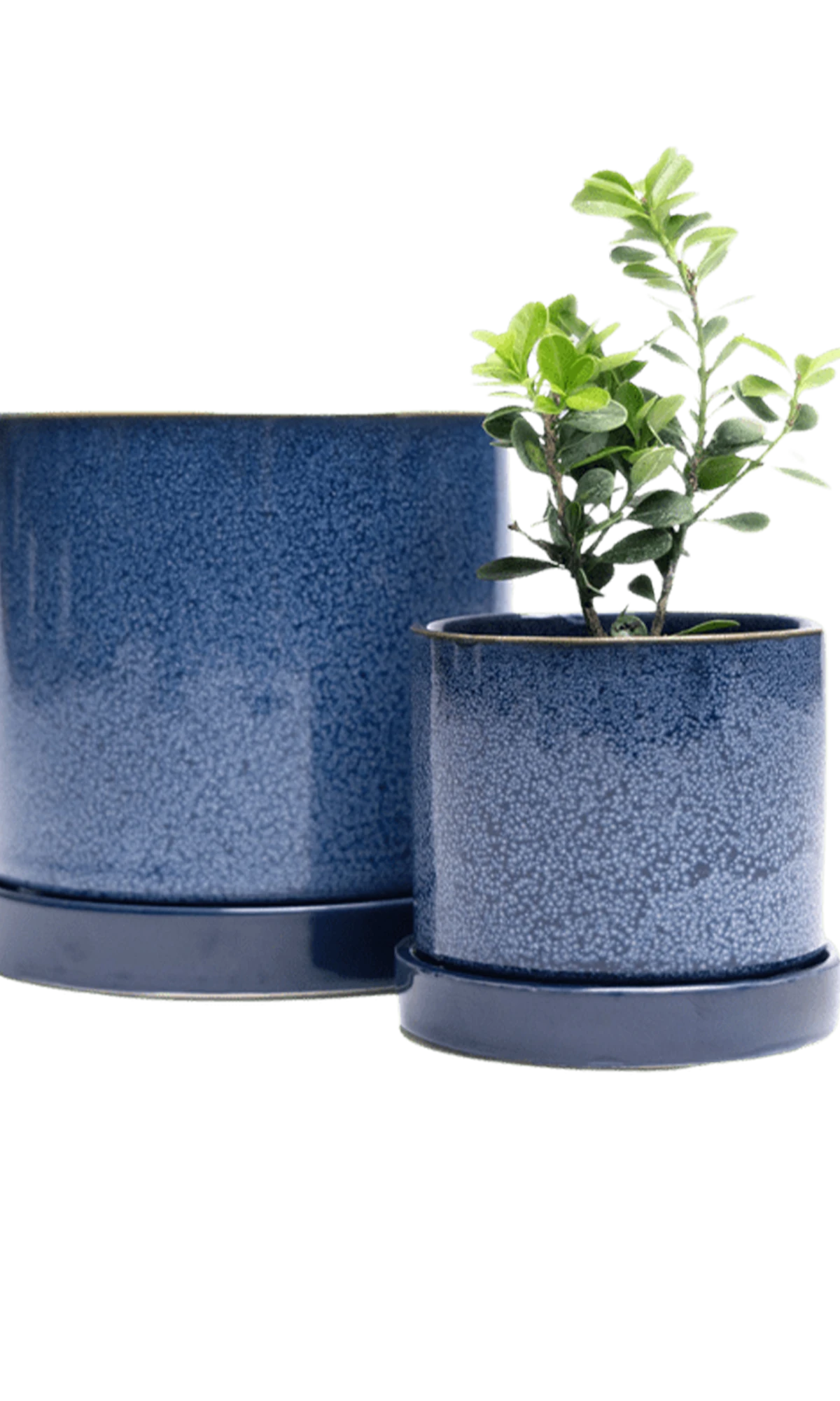 Two Chive Minute cosmos ceramic pots with drainage and detachable saucers in size small and medium styled with a plant.