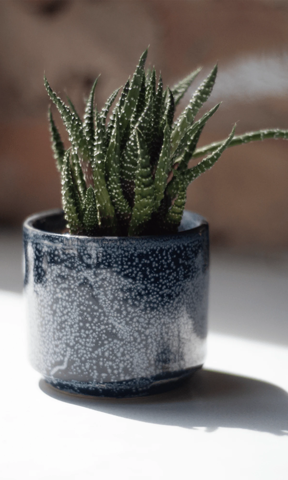 Chive Minute small cosmos ceramic pot styled with a small houseplant, displayed on a white table in bright lighting.