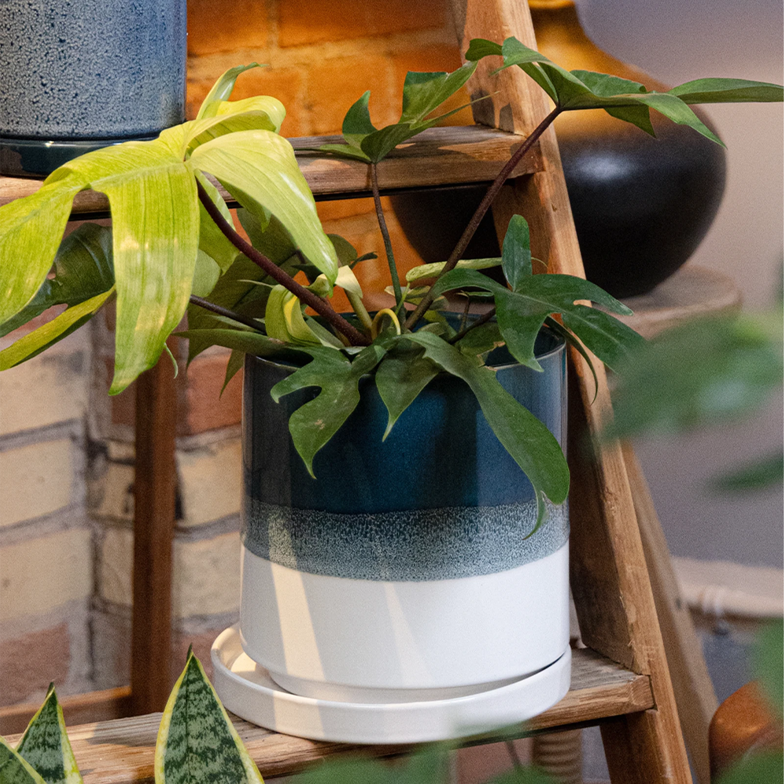 Chive Minute large green blue fully glazed ceramic planter pot styled with a plant on a wood ladder indoor.