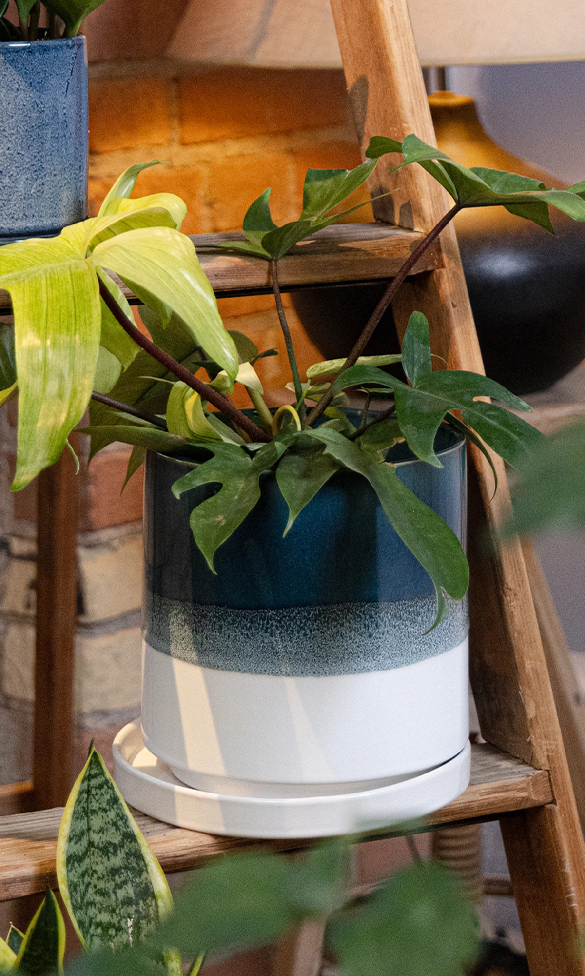 Chive Minute large green blue fully glazed ceramic planter pot styled with a plant on a wood ladder indoor.