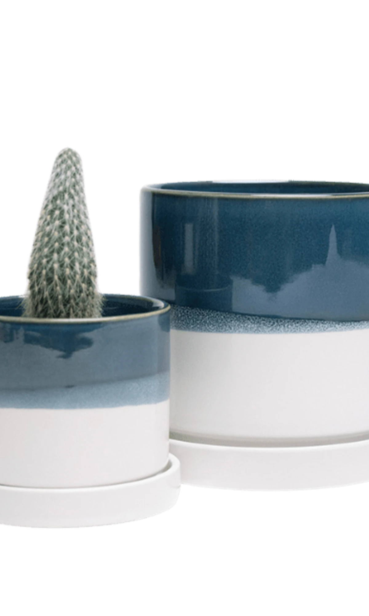 Two Chive Minute green blue ceramic pots with drainage and detachable saucers in size small and medium styled with a cactus.