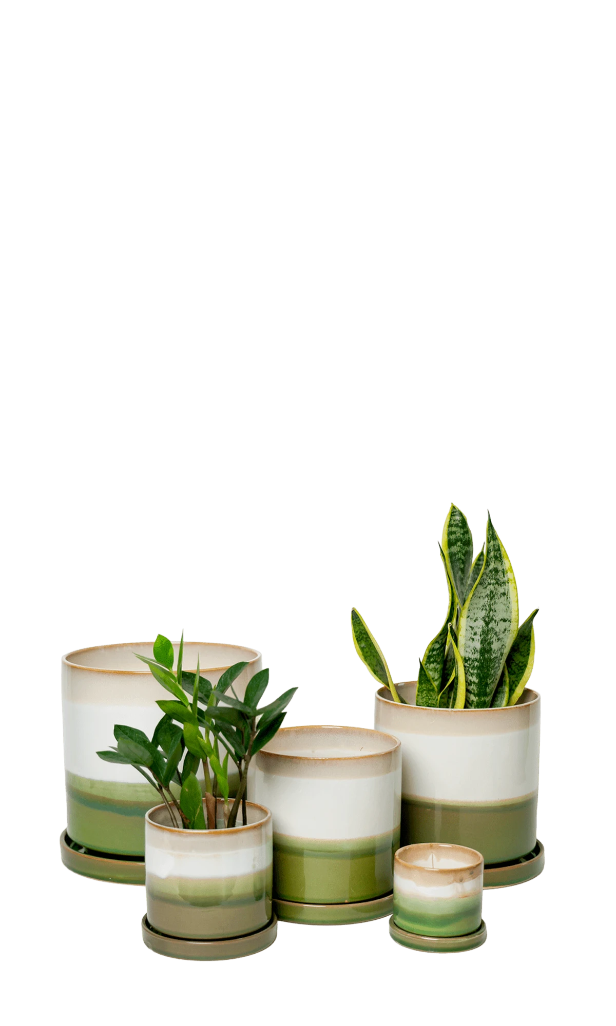 Chive Minute green layers glazed ceramic planters in multiple sizes with drainage and saucer styled with plants.