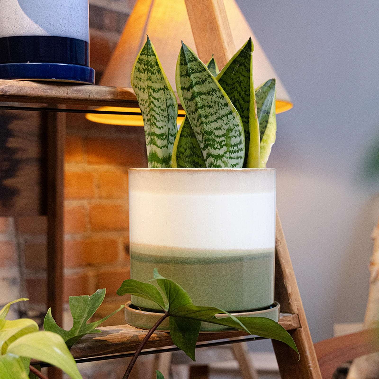 Chive Minute green layers fully glazed ceramic large planter styled with a snake plant on a wooden ladder indoor.