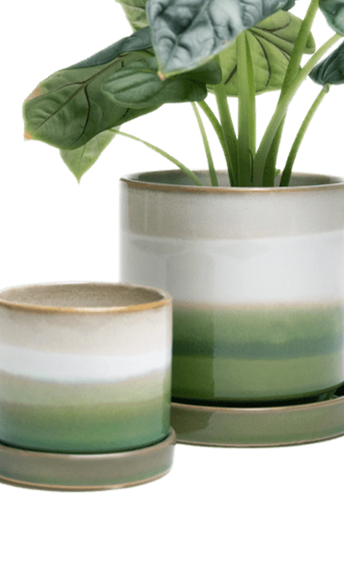 Two Chive Minute green layers ceramic pots with drainage and saucers in size small and medium styled with a plant.