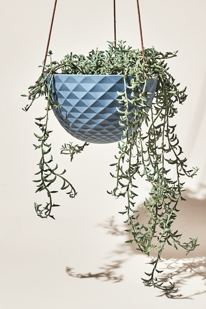 Chive Mofo blue grey porcelain hanging planter with no drainage styled with a trailing plant.