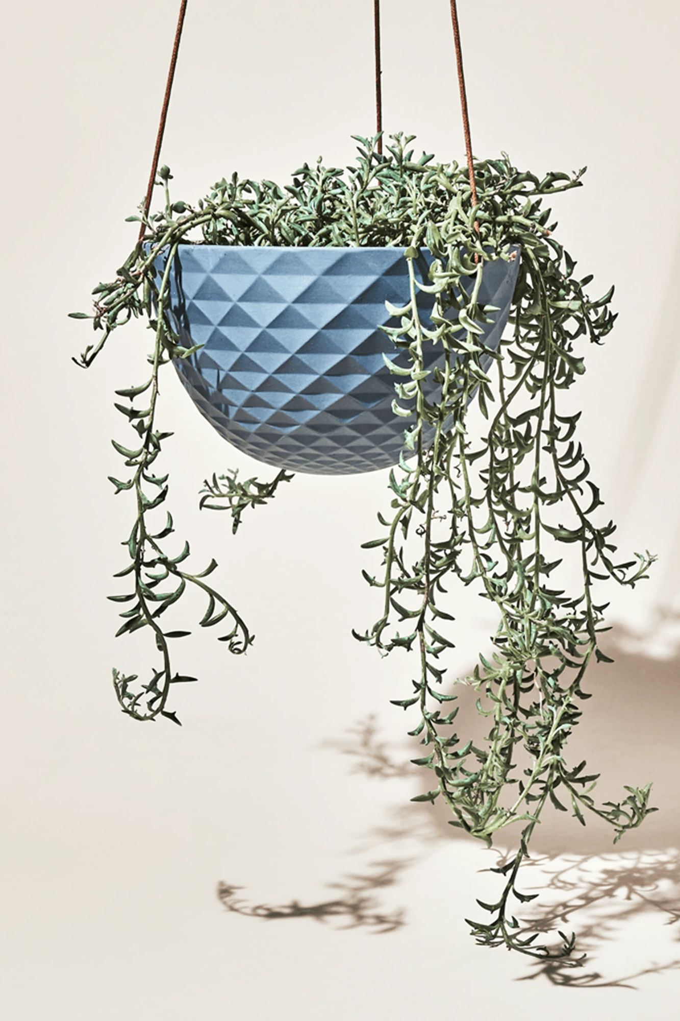 Chive Mofo blue grey porcelain hanging planter with no drainage styled with a trailing plant.