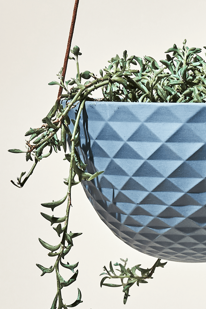 Close up of Chive Mofo blue grey porcelain hanging planter with no drainage styled with a trailing plant.
