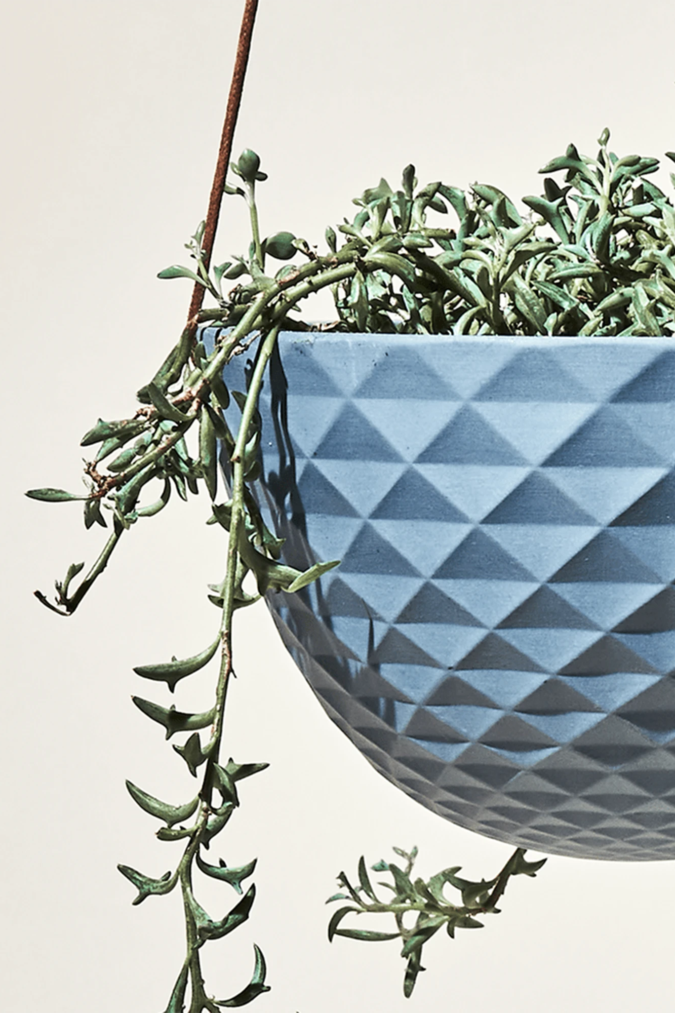 Close up of Chive Mofo blue grey porcelain hanging planter with no drainage styled with a trailing plant.