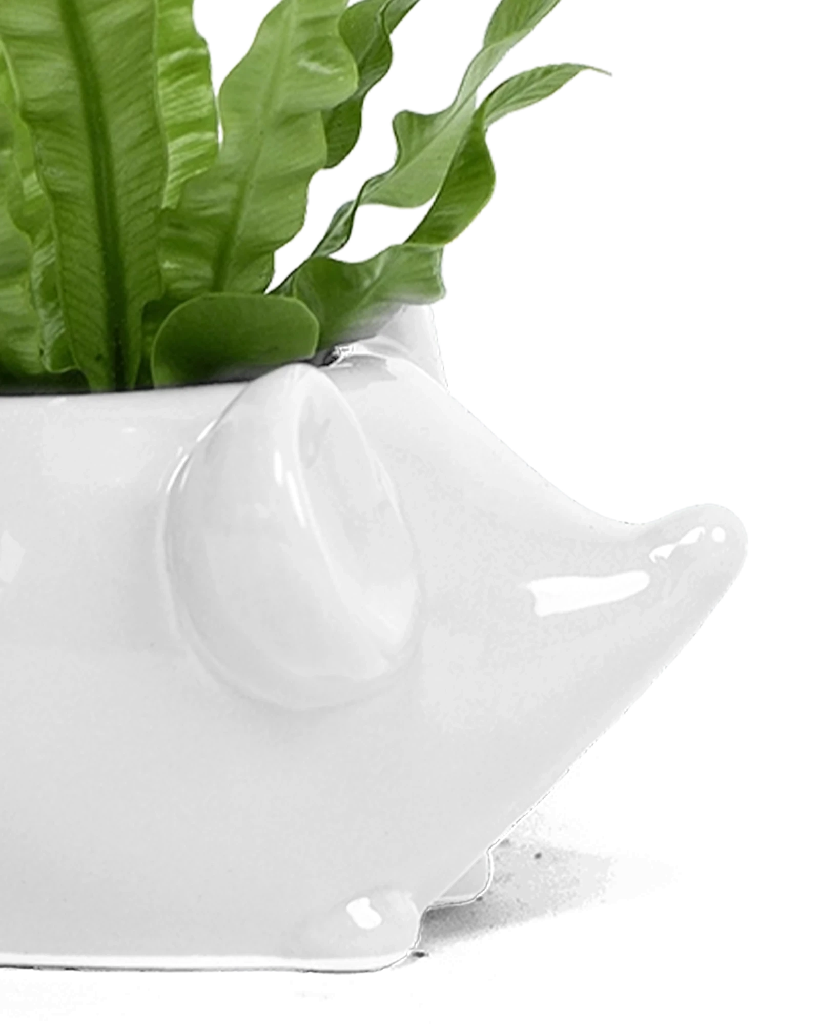 Close-up of the glossy glazed finish on a Chive Mouse White color ceramic planter.