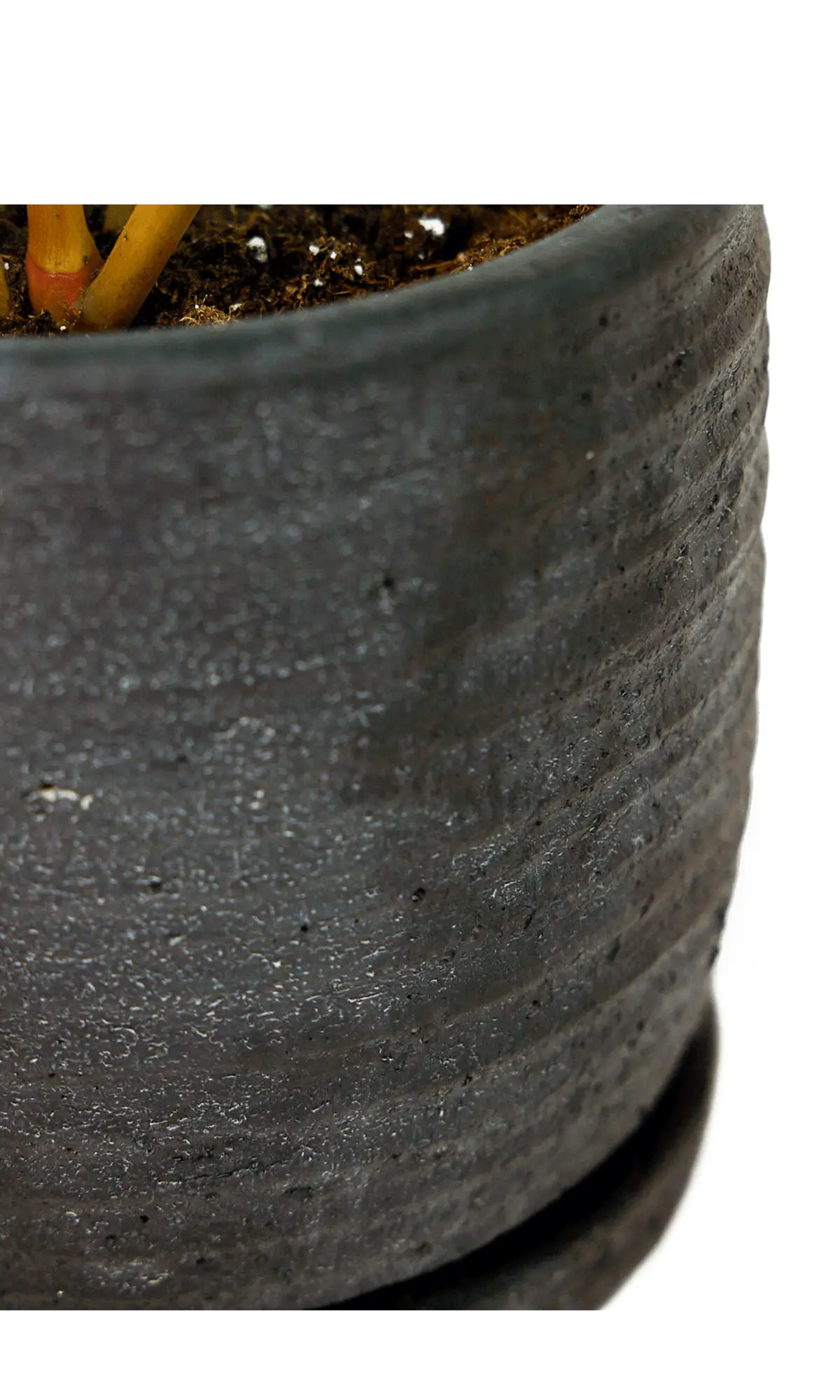 Close-up of the matte ribbed surface on a Chive Paul black ceramic small pot with saucer.