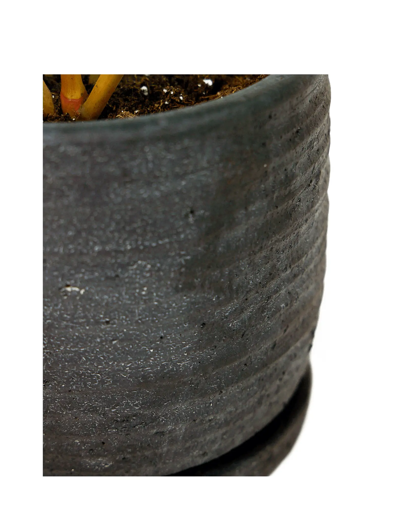Close-up of the matte ribbed surface on a Chive Paul black ceramic small pot with saucer.