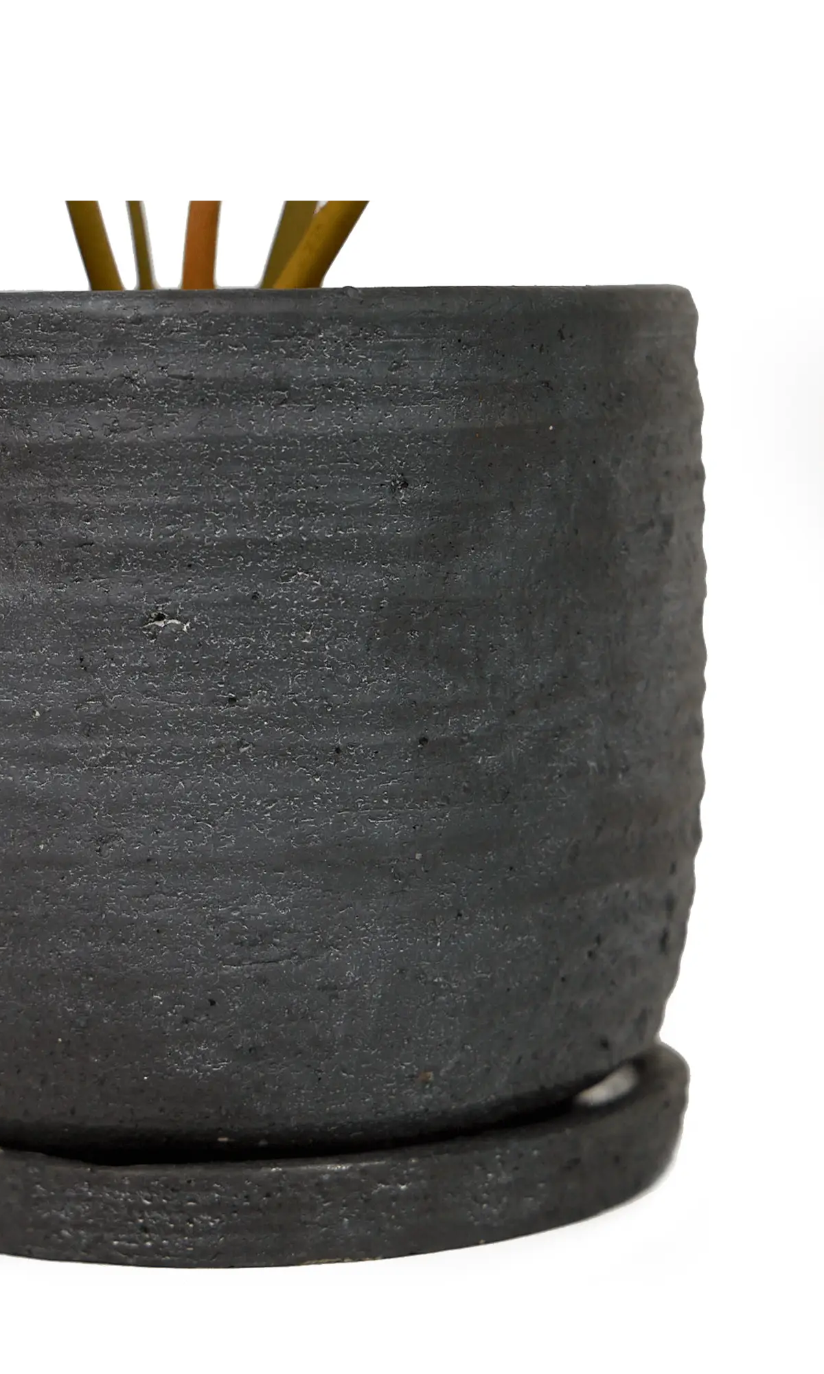 Close-up of the detachable saucer and ribbed texture on a Chive Paul black ceramic pot.