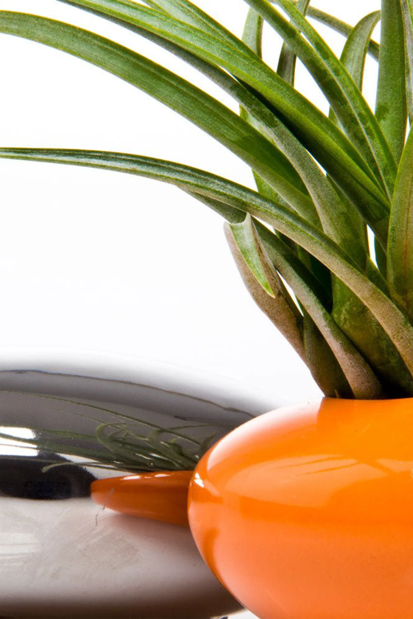Close up of Chive Pebble orange glazed ceramic Ikebana Kenzan container styled with an air plant.
