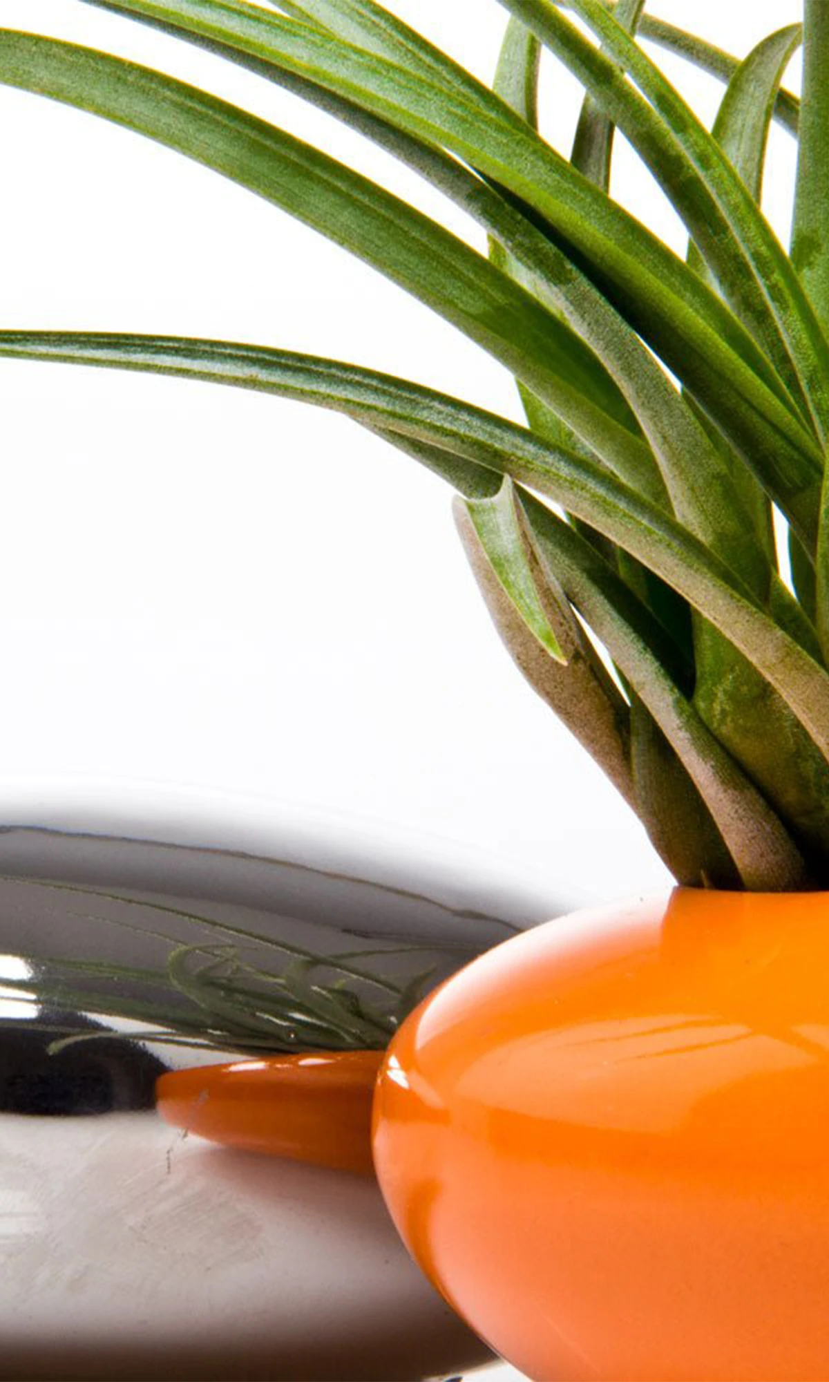 Close up of Chive Pebble orange glazed ceramic Ikebana Kenzan container styled with an air plant.