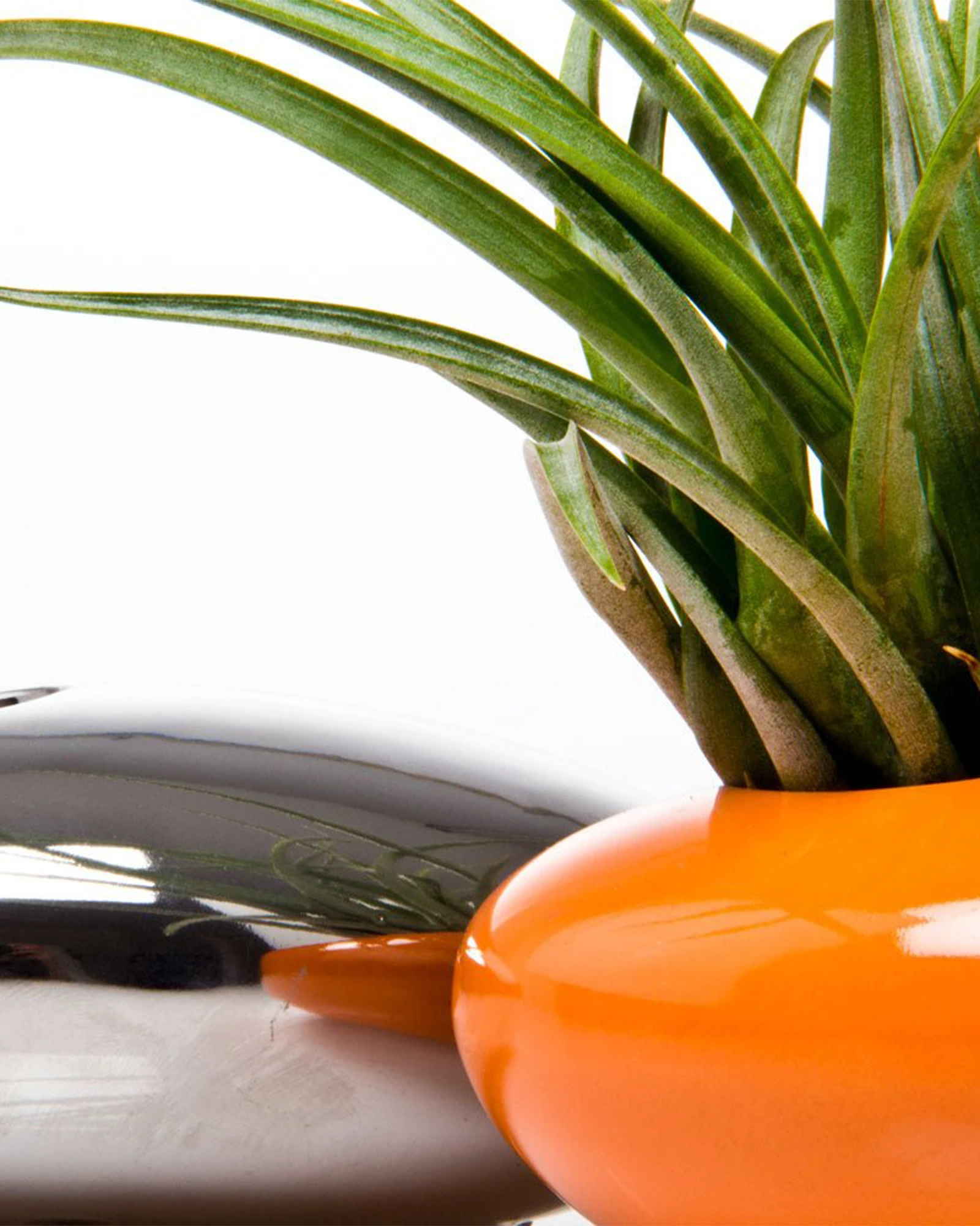 Close up of Chive Pebble orange glazed ceramic Ikebana Kenzan container styled with an air plant.