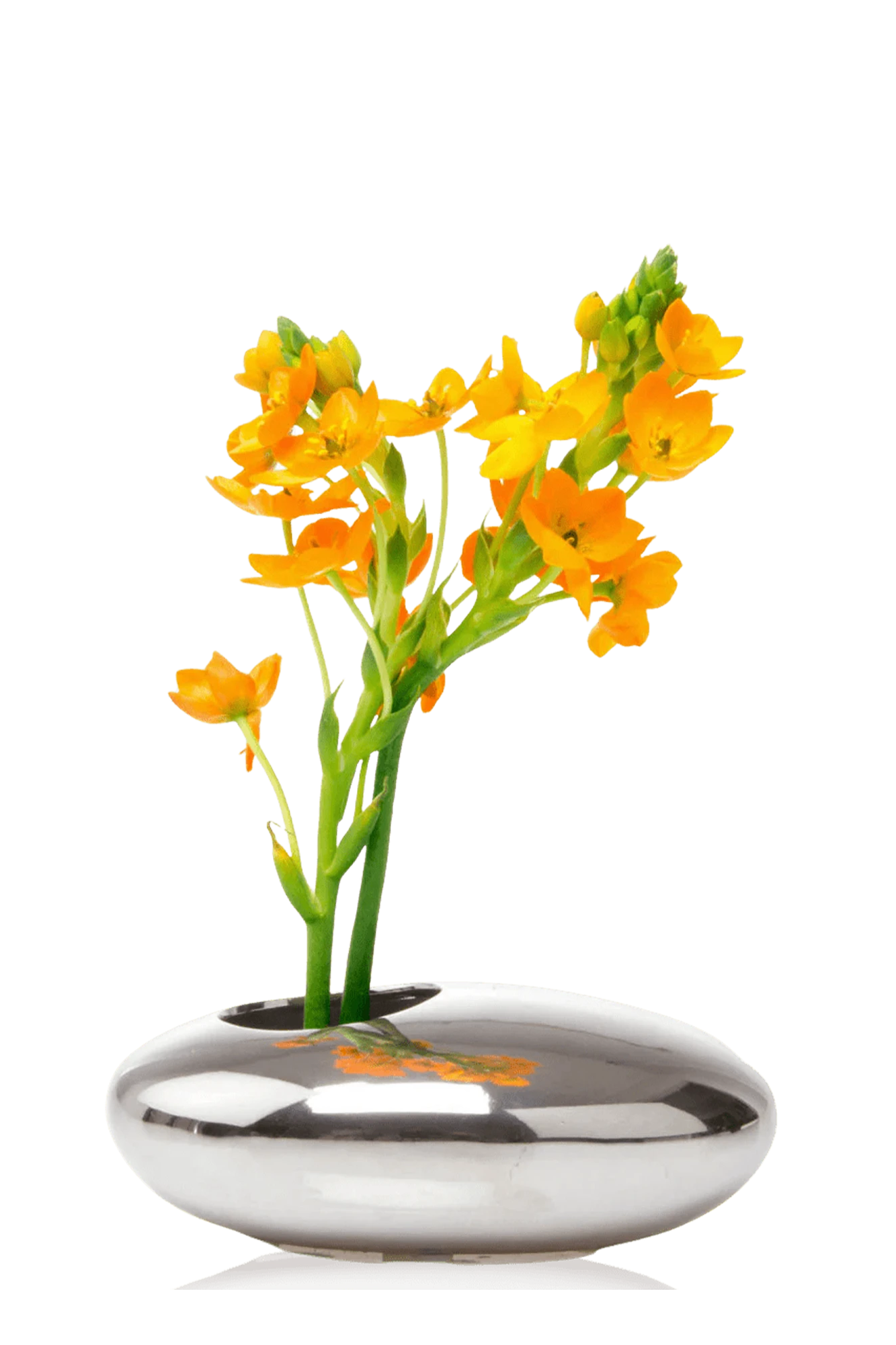 Chive Pebble silver color ceramic Ikebana Kenzan container styled with fresh flowers.
