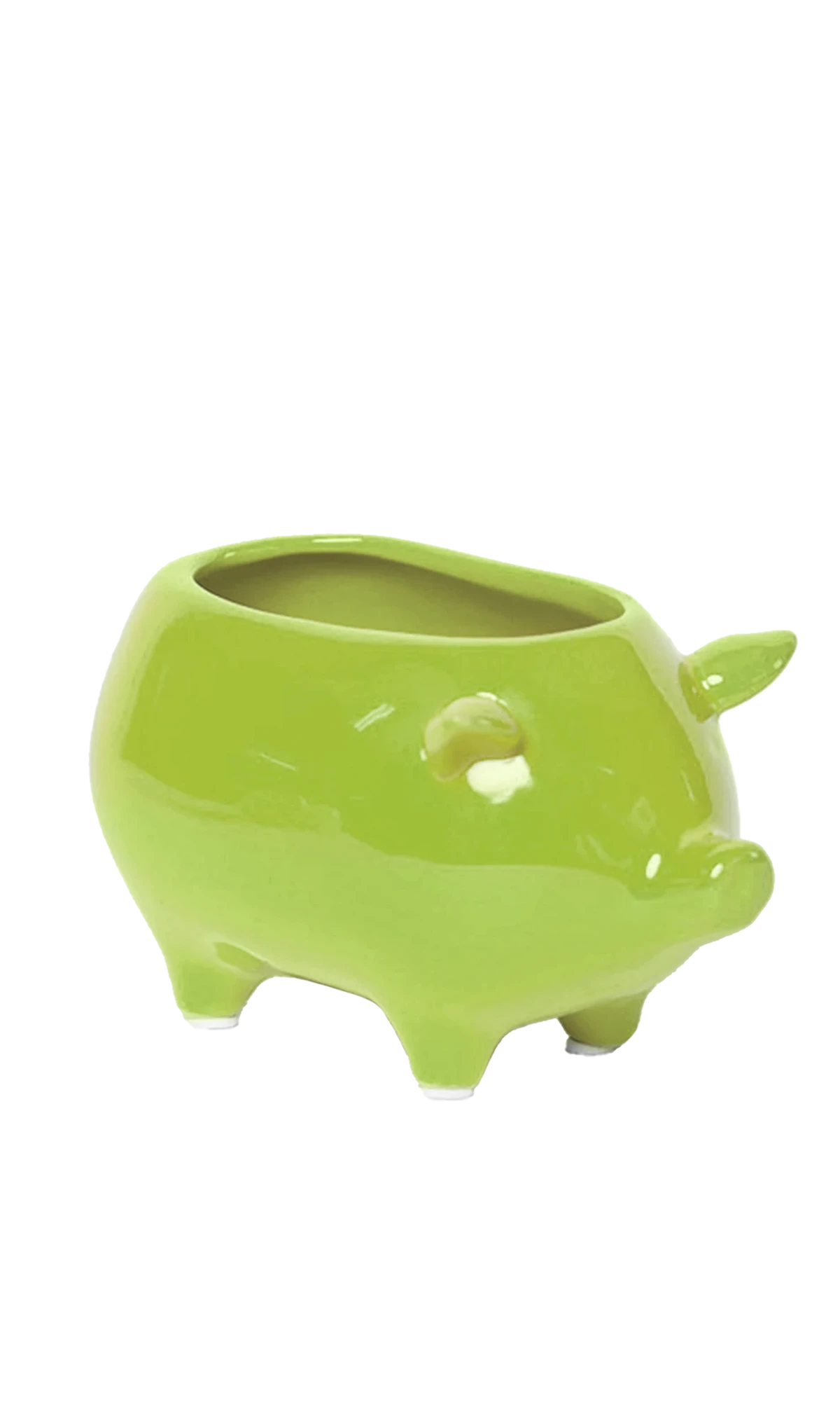 Chive Pig Chartreuse color ceramic pig shaped succulent planter with no drainage.