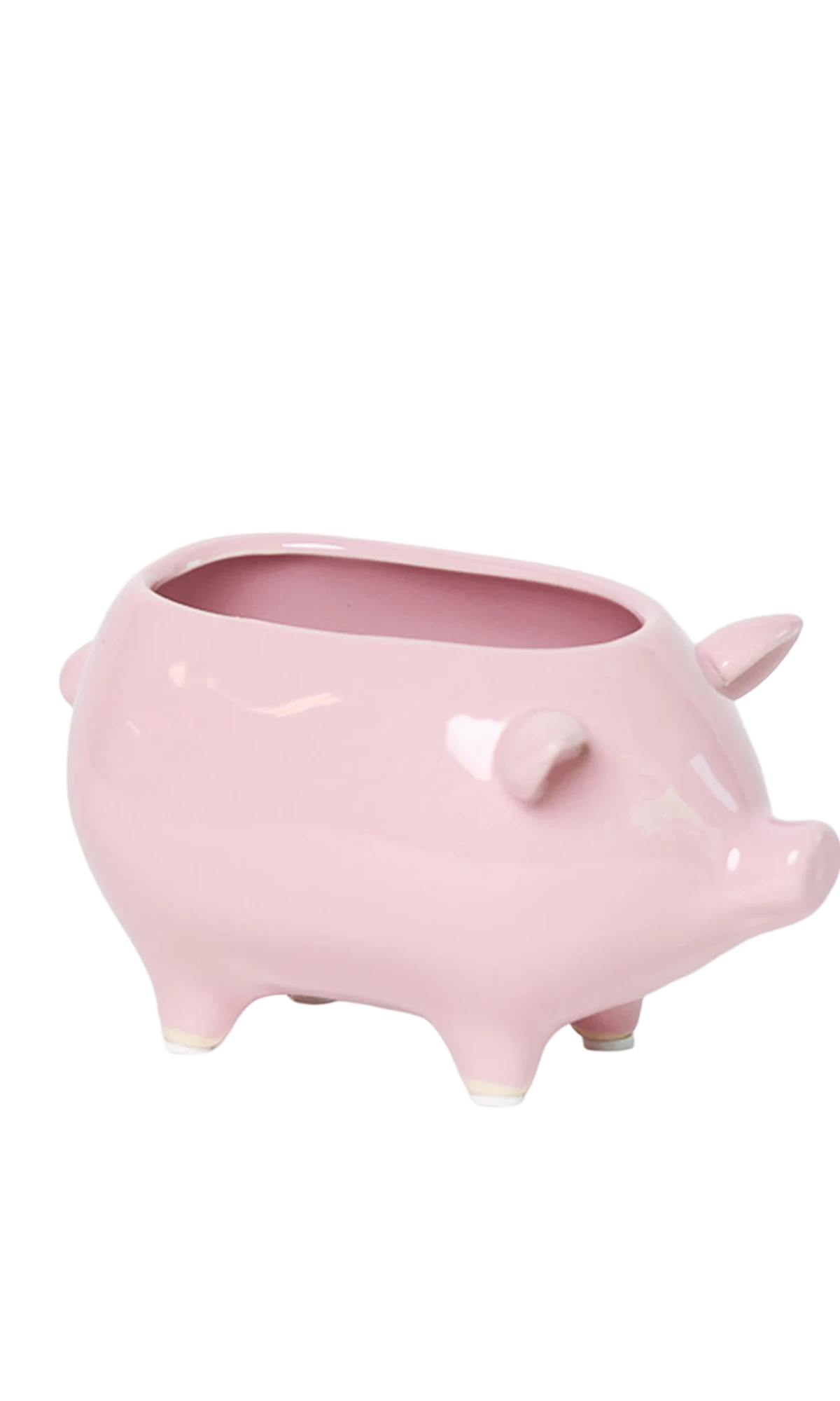 Chive Pig Pink color ceramic pig shaped succulent planter with no drainage.